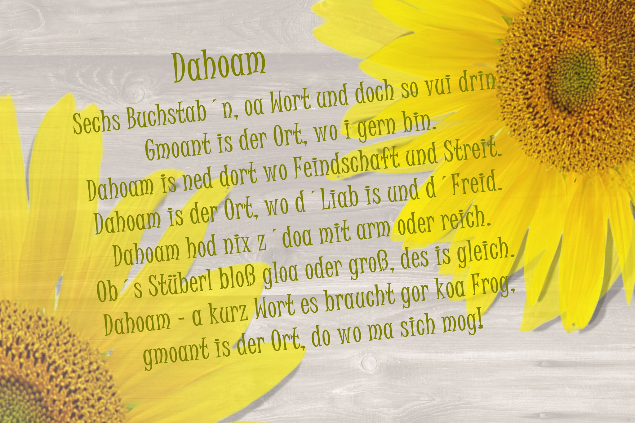Art.-Nr DH-SB)