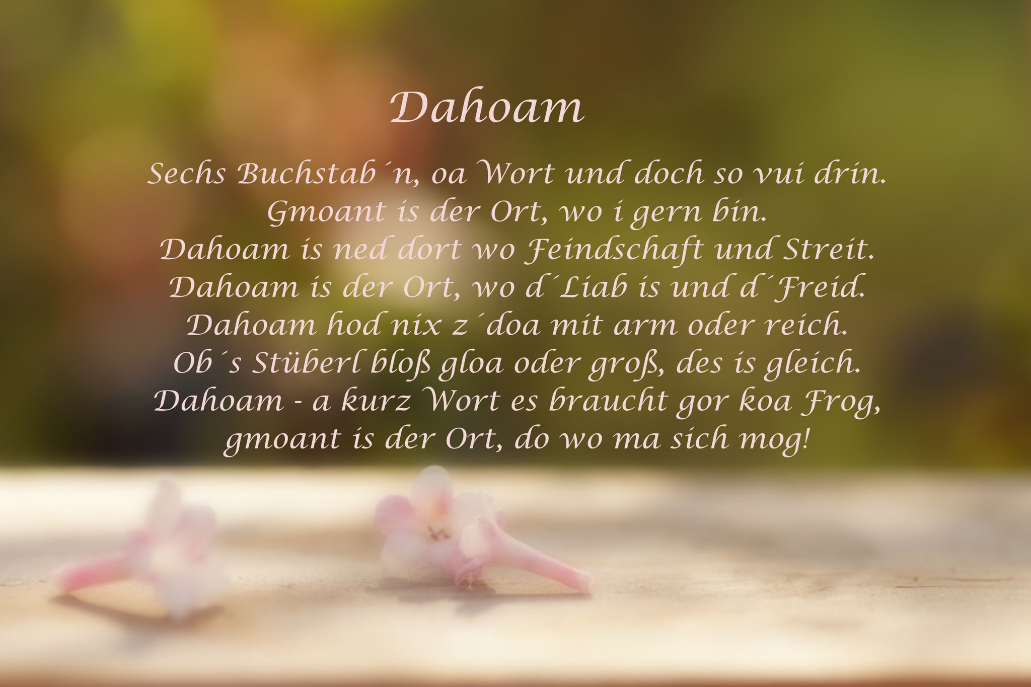 Art.-Nr (DHB)