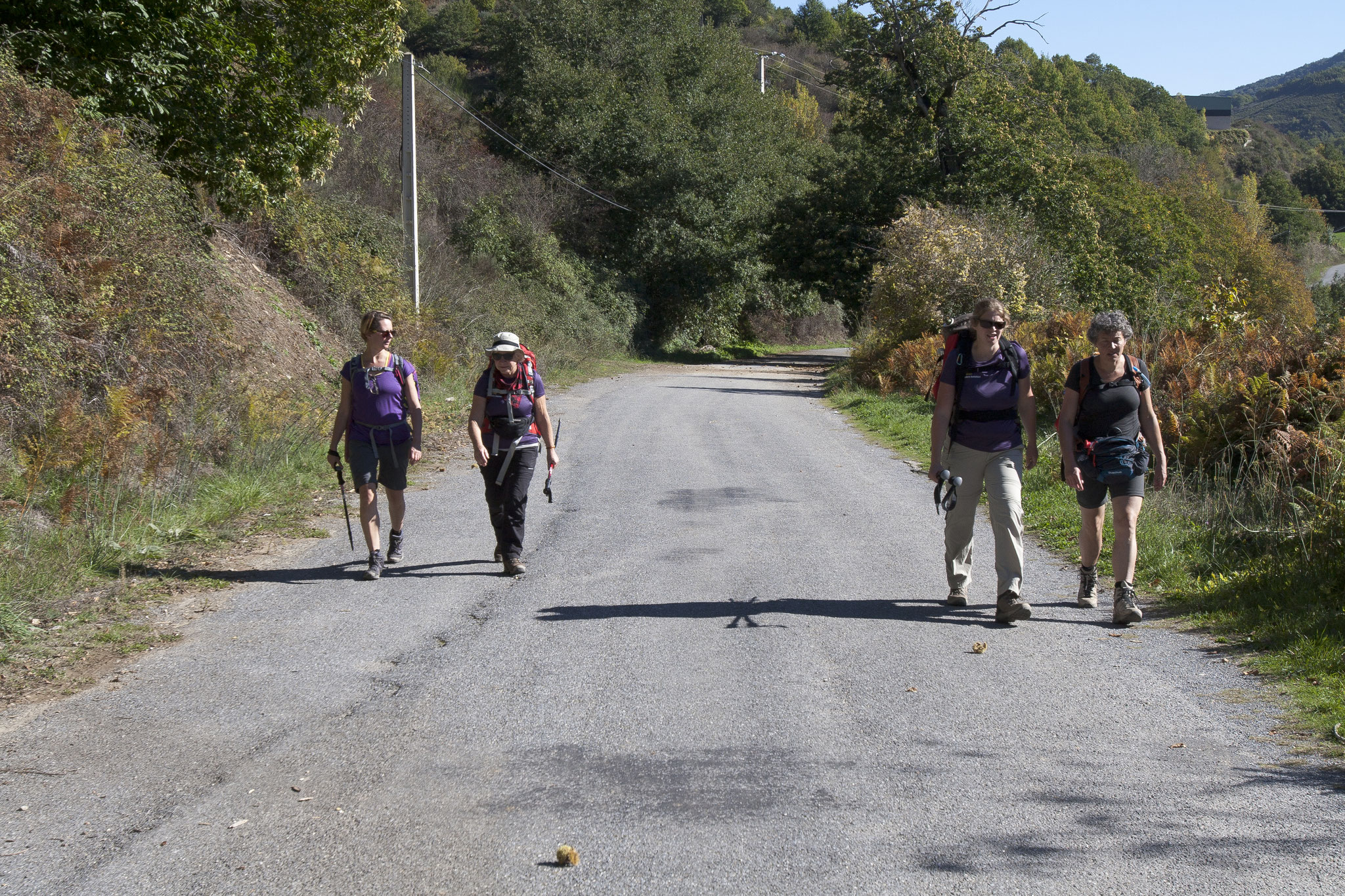 If possible, walkers walking independent from their buddies