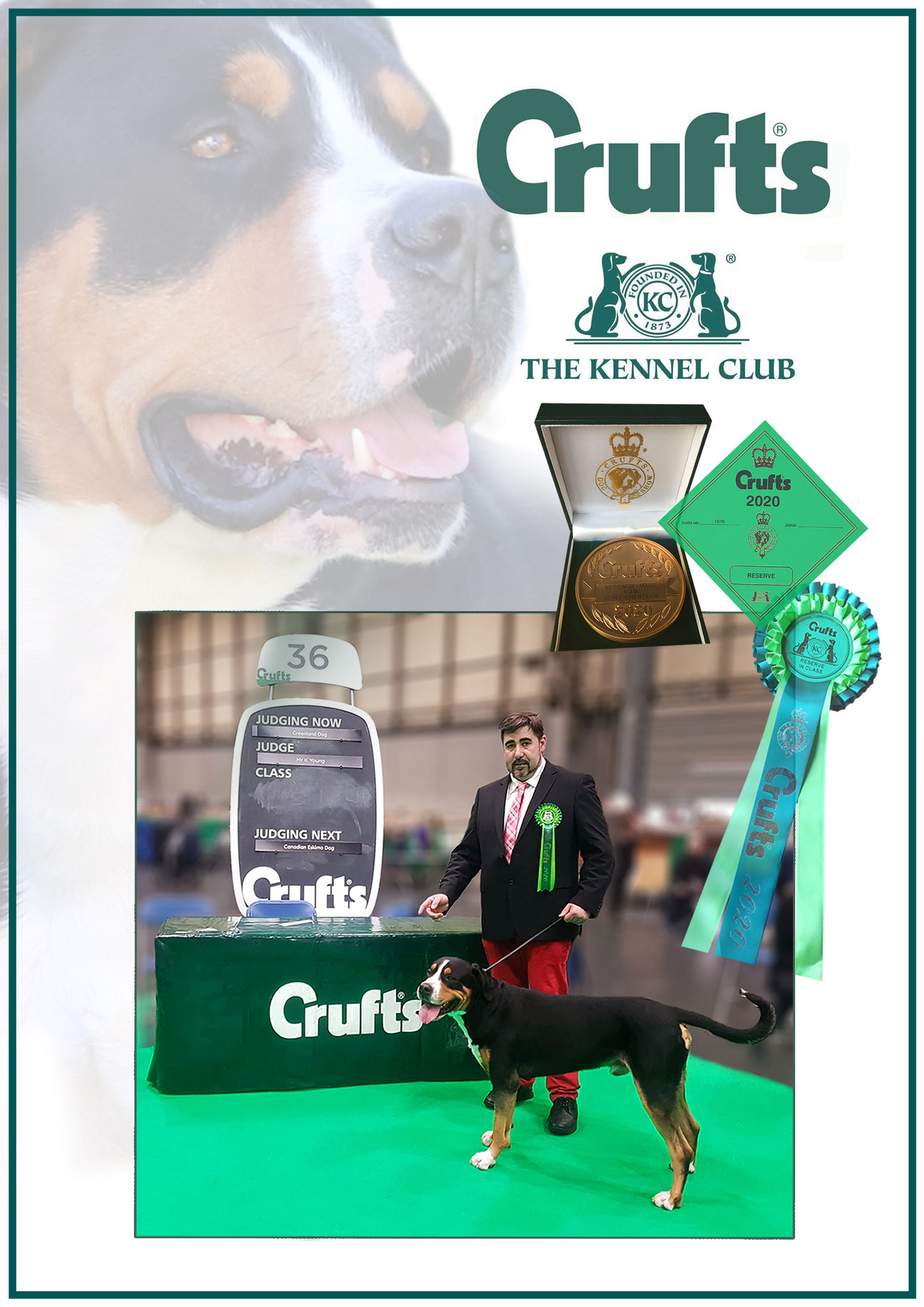 Ausstellungen - Nepomuk-Malu vom Schleicherteam Großer Schweizer Sennenhund