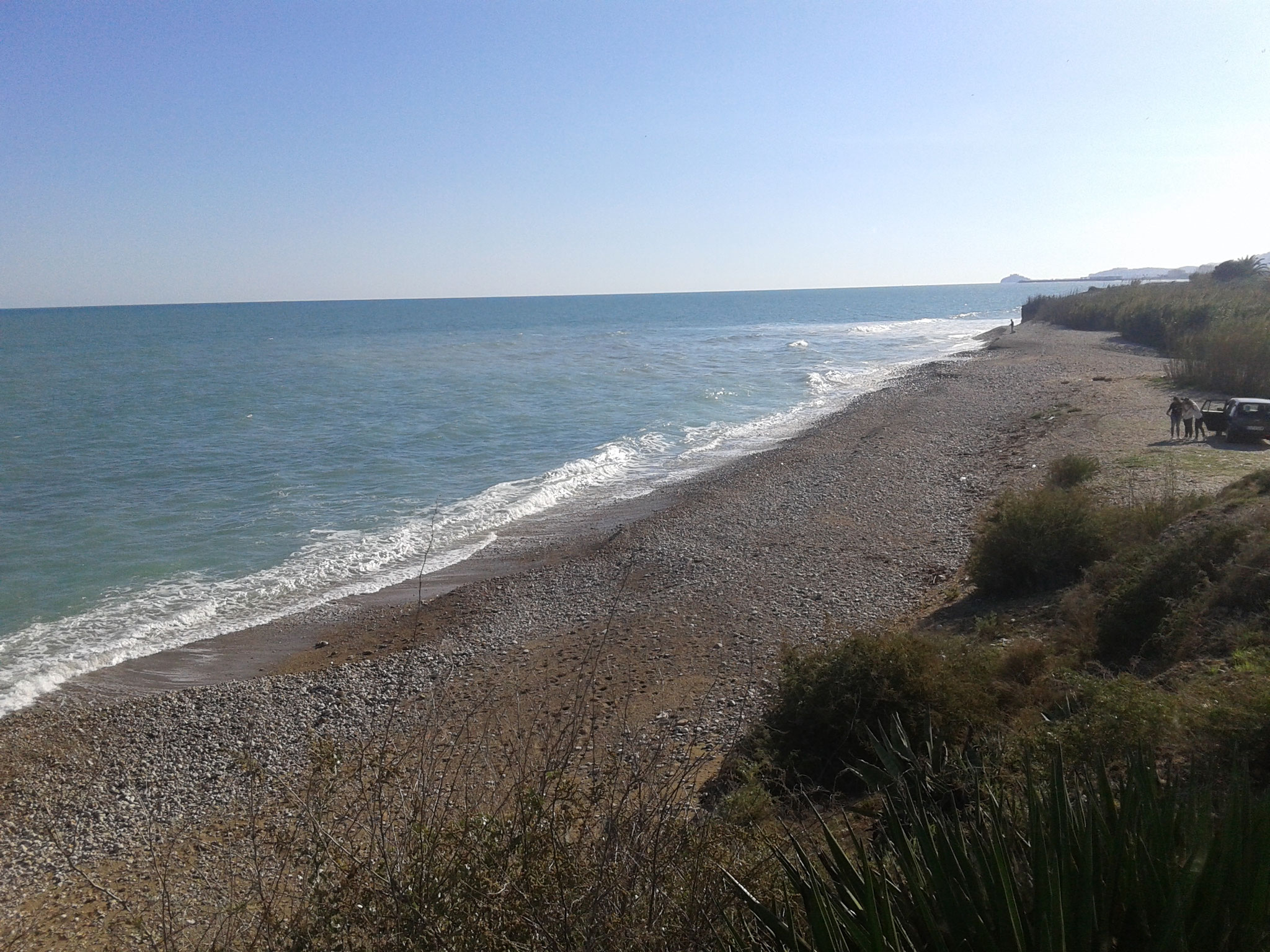 Hundestrand