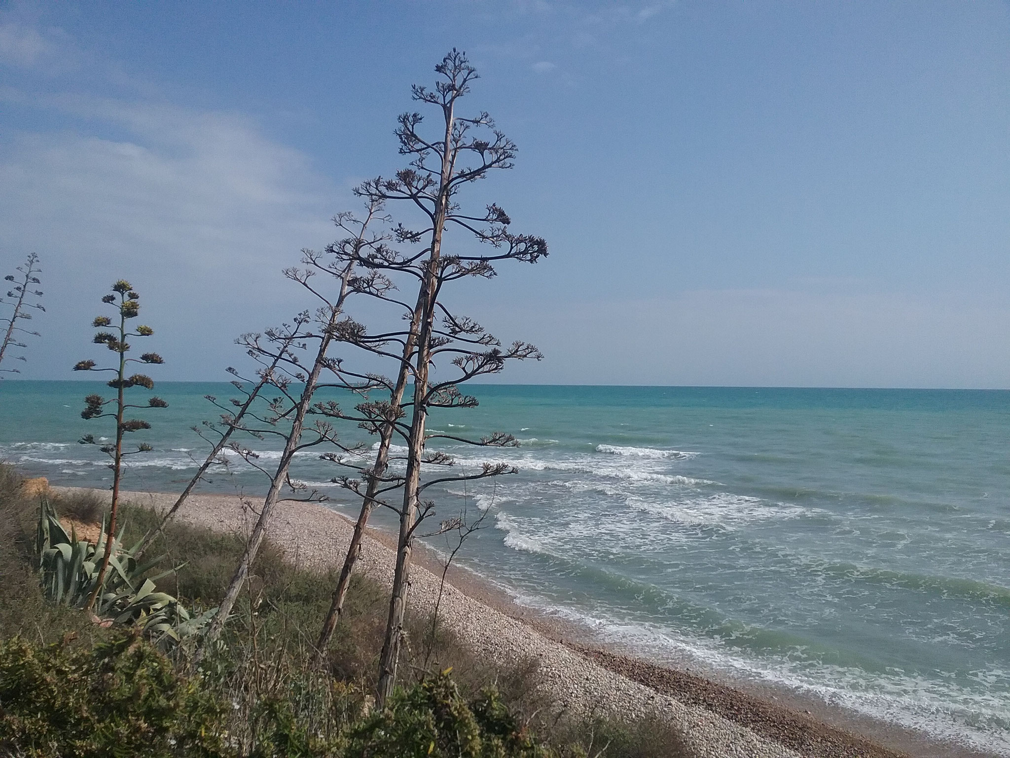 Cala Puntal in Richtung Hundestrand