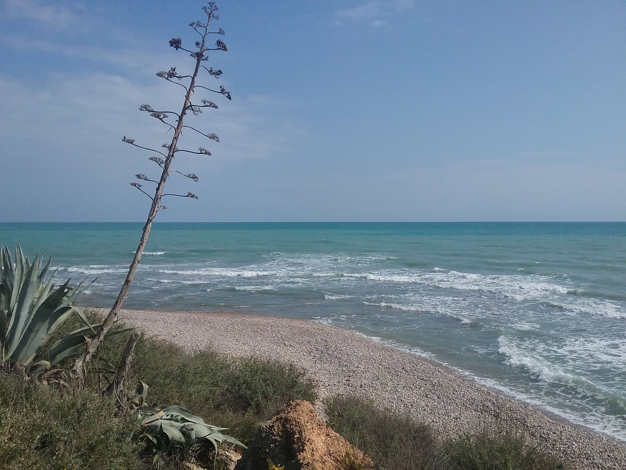 Cala Puntal zum Hundestrand