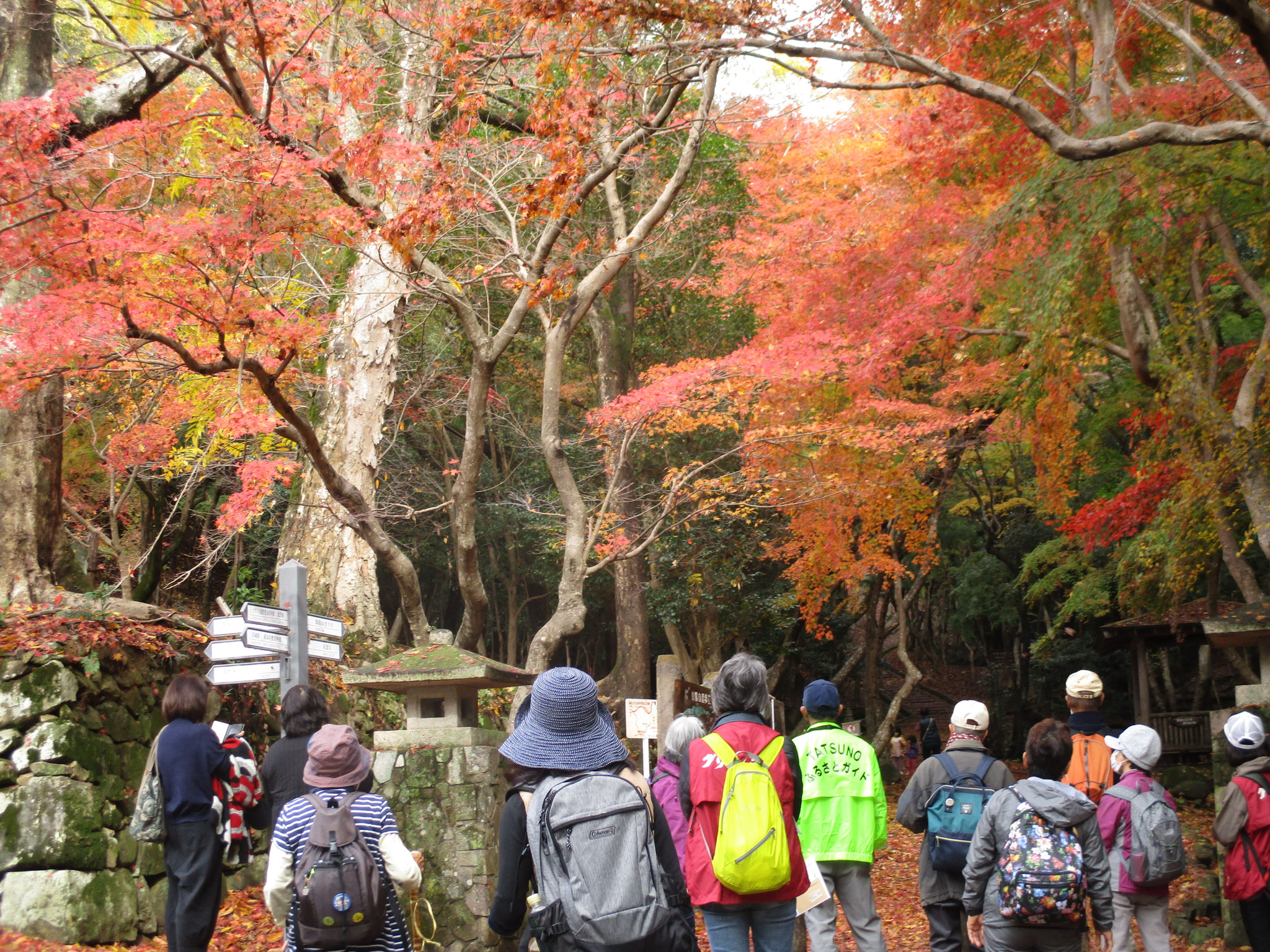 2022年11月30日　ヘルシ―ウォーキング(たつの市紅葉谷)
