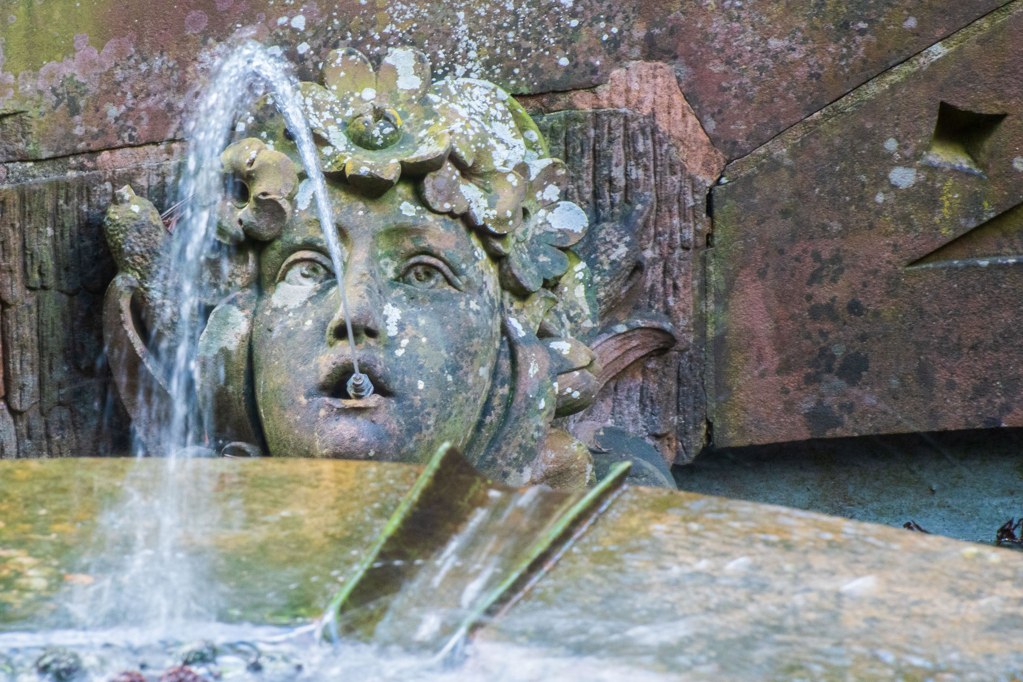 Foto: Frank Voß