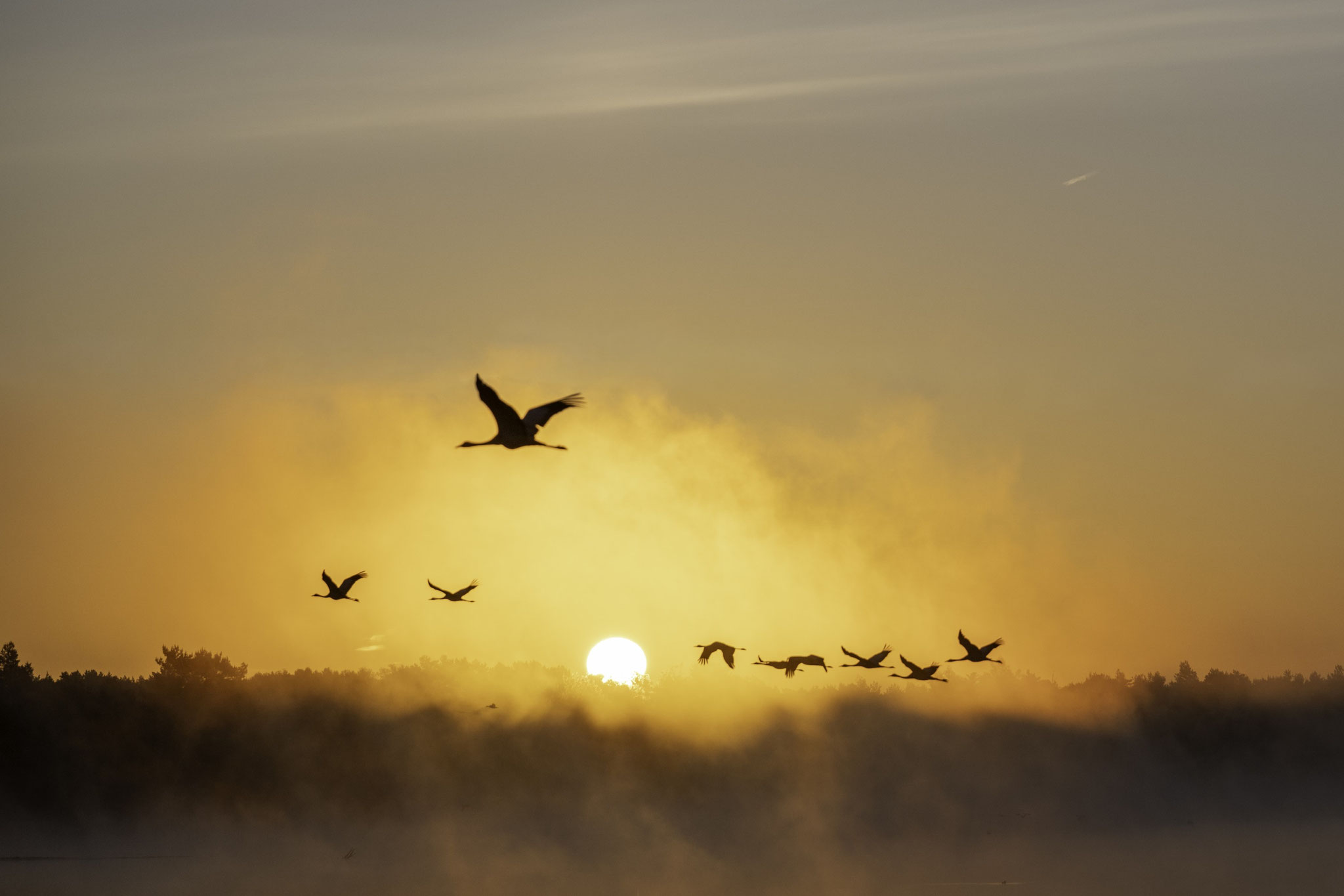 Tister-Moor - Foto: Gesche Andresen