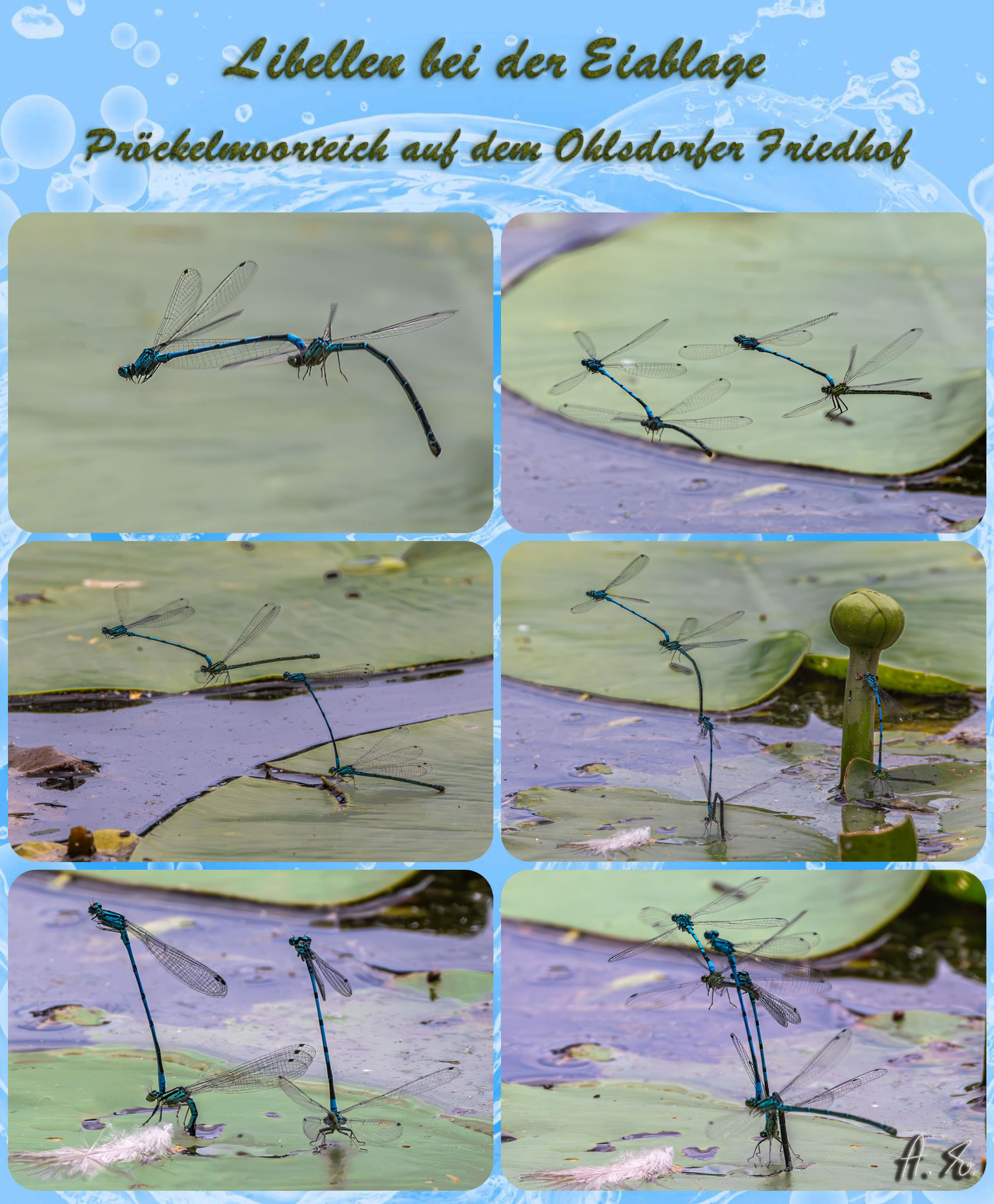 Foto: Adolf Dobslaff