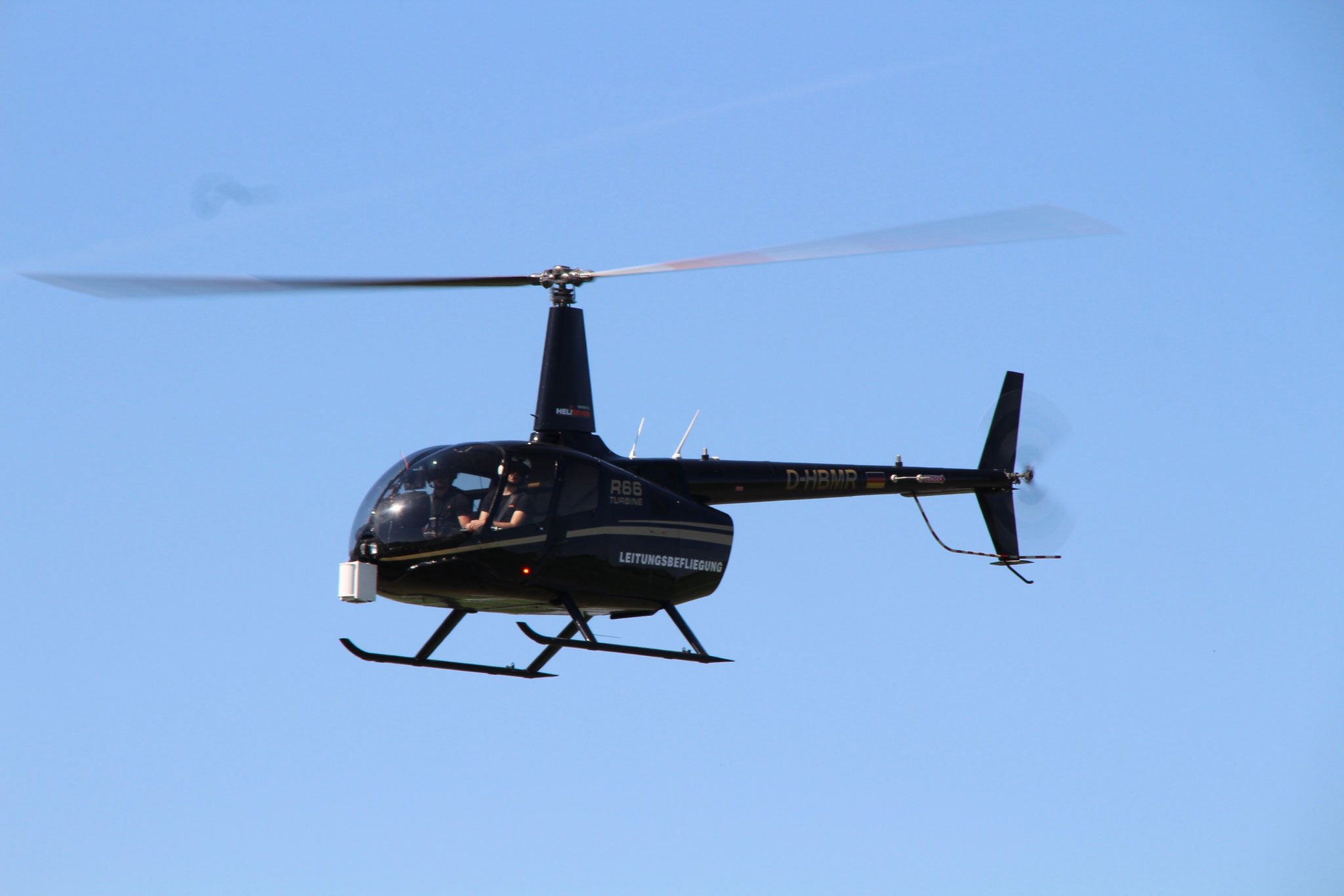 EDWF © Andreas U.