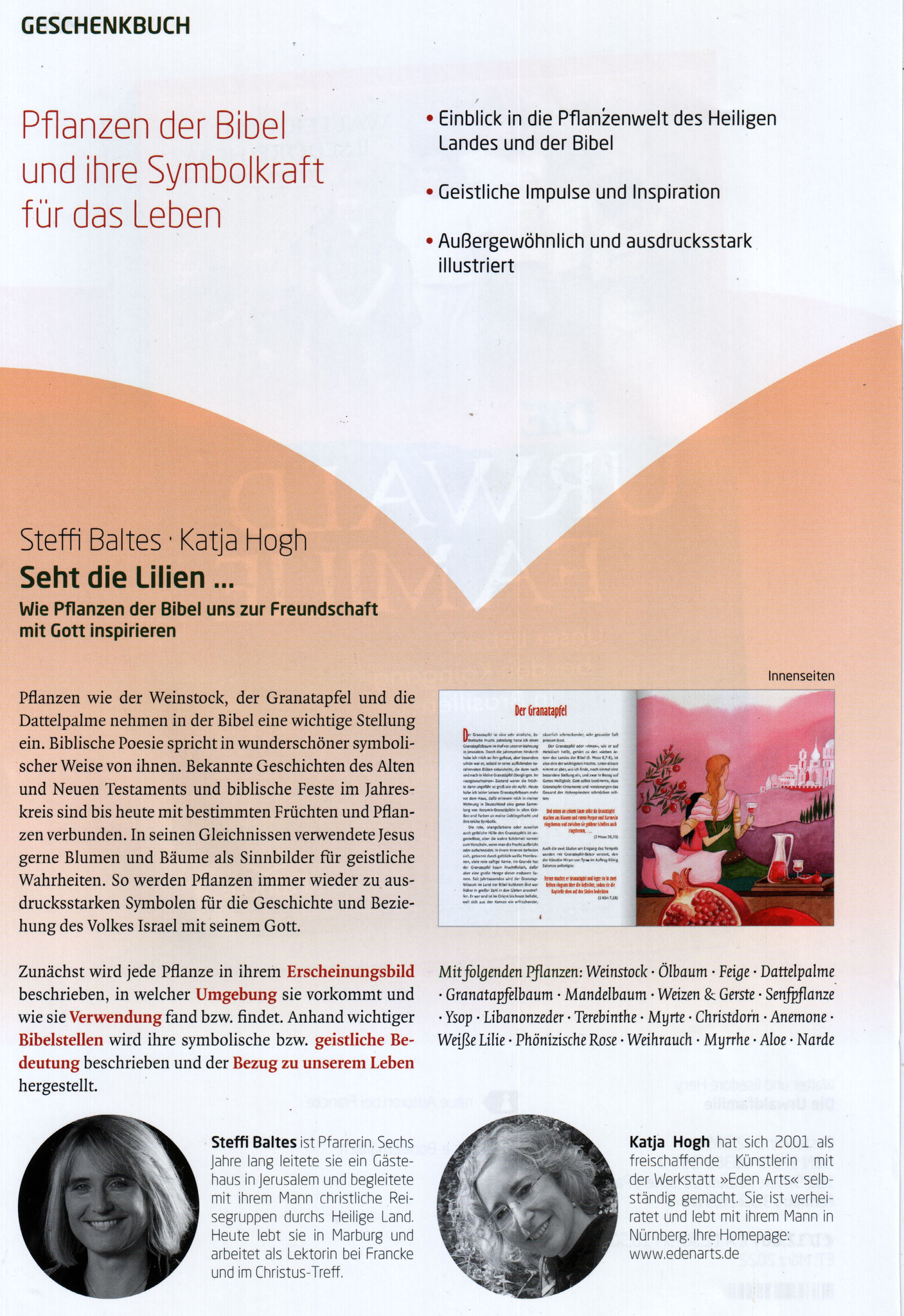 "Seht die Lilien"  Infos zum Pflanzenbuch