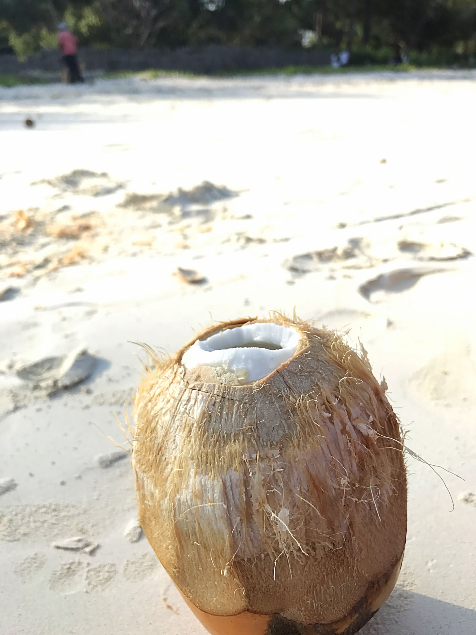 Kokosnuss schlürfen am Diani Strand / Coconut sipping at Diani beach