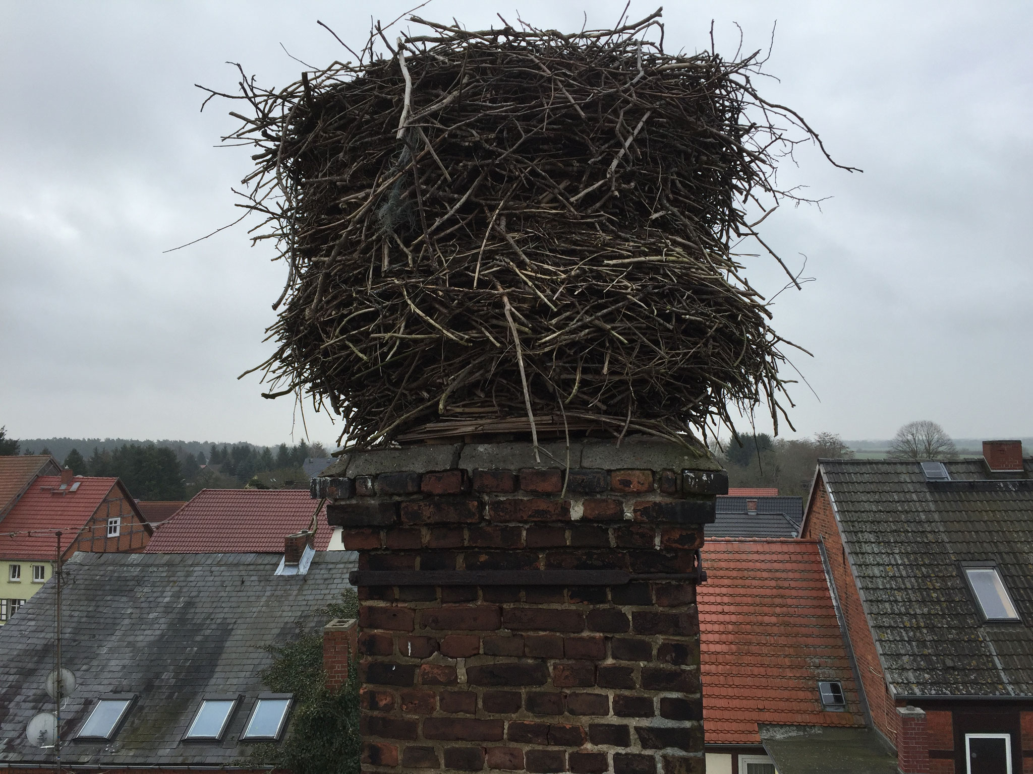 Bad Wilsnack: Über die Jahre ist dieses Nest recht hoch und etwas instabil geworden (VORHER).
