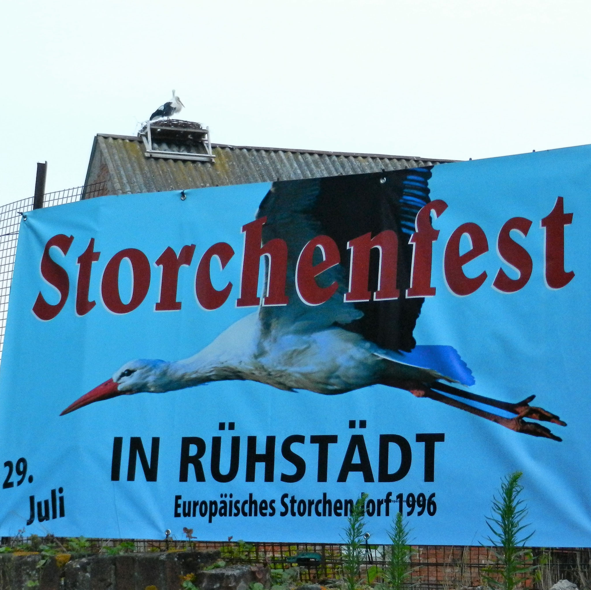 Das 31. Storchenfest steht vor der Tür