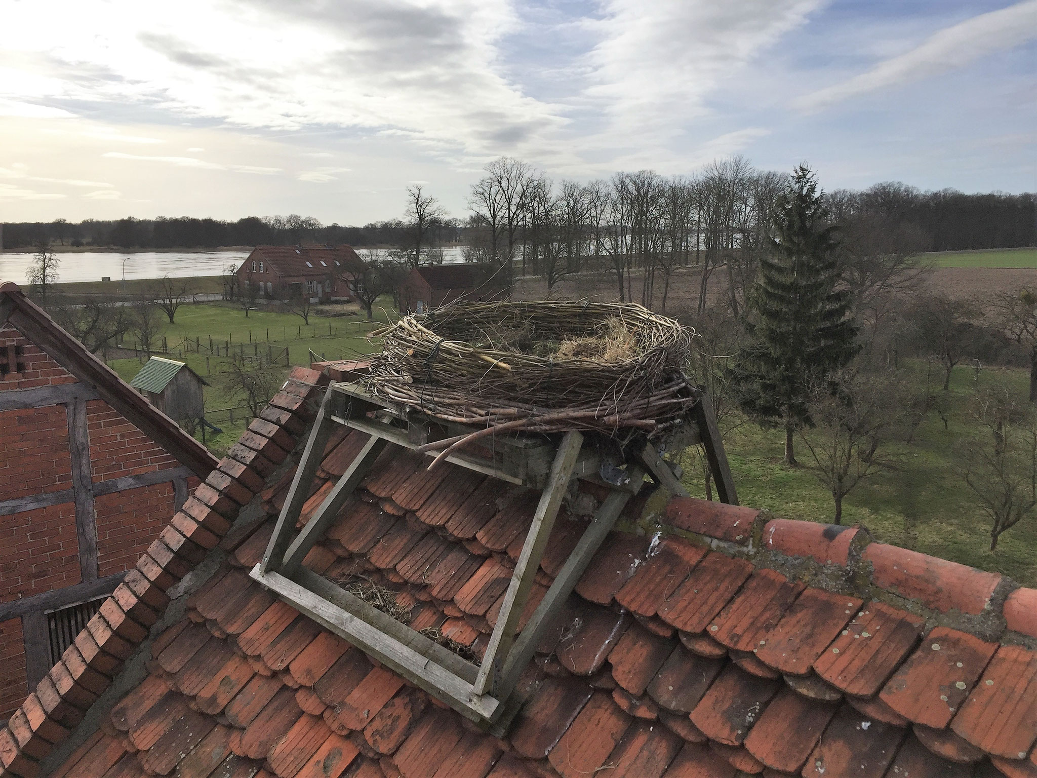 Ein Extra-Kranz wurde hier auf ein bestehendes Nest montiert.