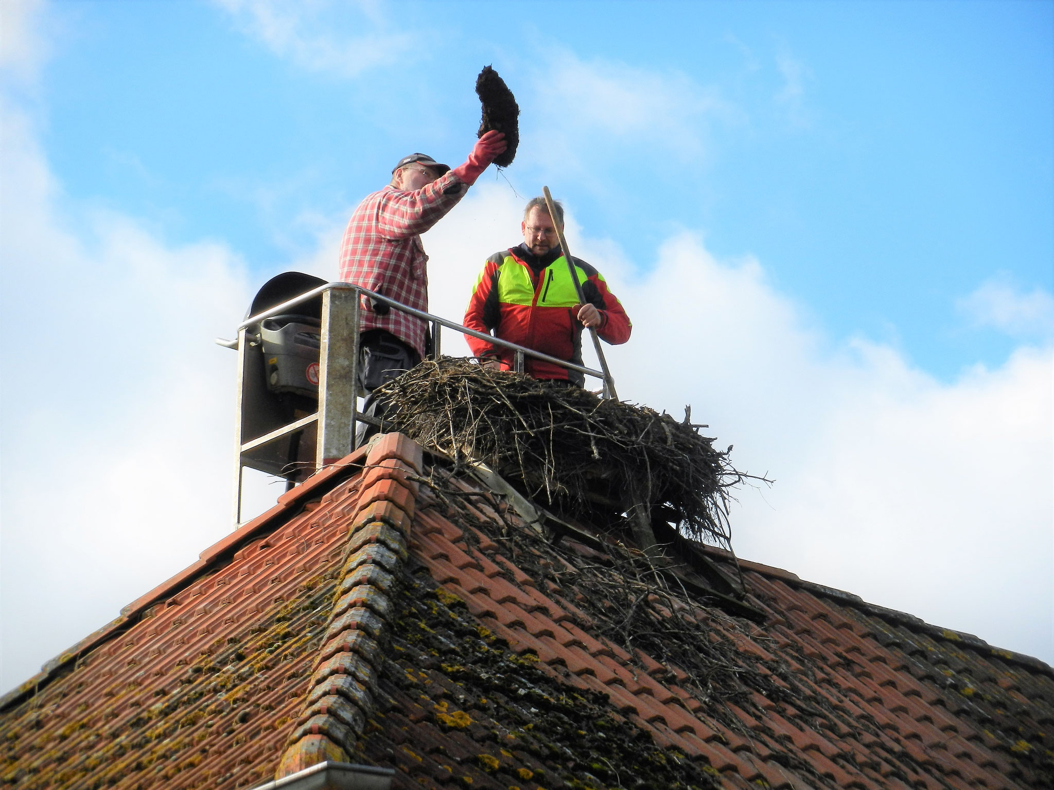 Ein großer Brocken gefrorenes Nestmaterial fand sich noch im Nest auf der Feuerwehr