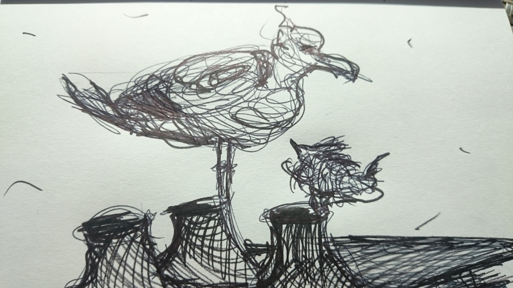 Discussion entre oiseaux sur les toits Dessin au stylo 15x21 cm 2016