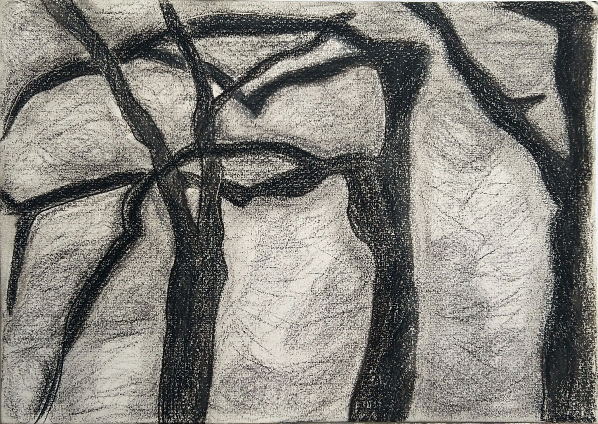 Forêt du Lot Loupiac Pierre noire sur papier canson 300 grs A4 2023