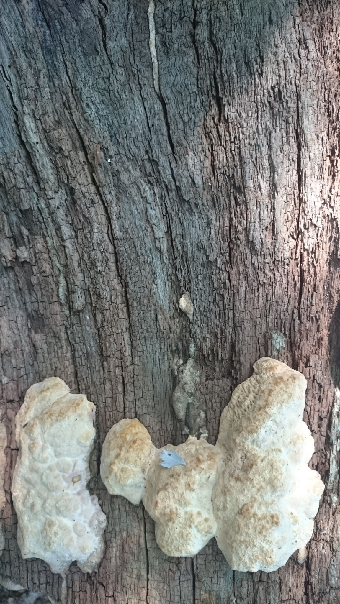 photo numérique 10x15 