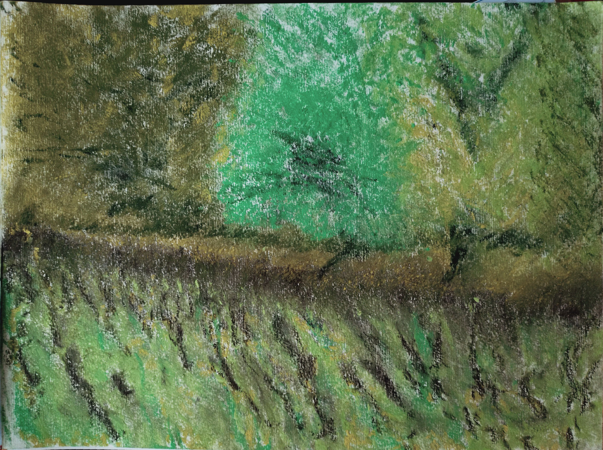 Le bosquet 2024 pastels sec 40*30 2024 Mesnil saint-père 