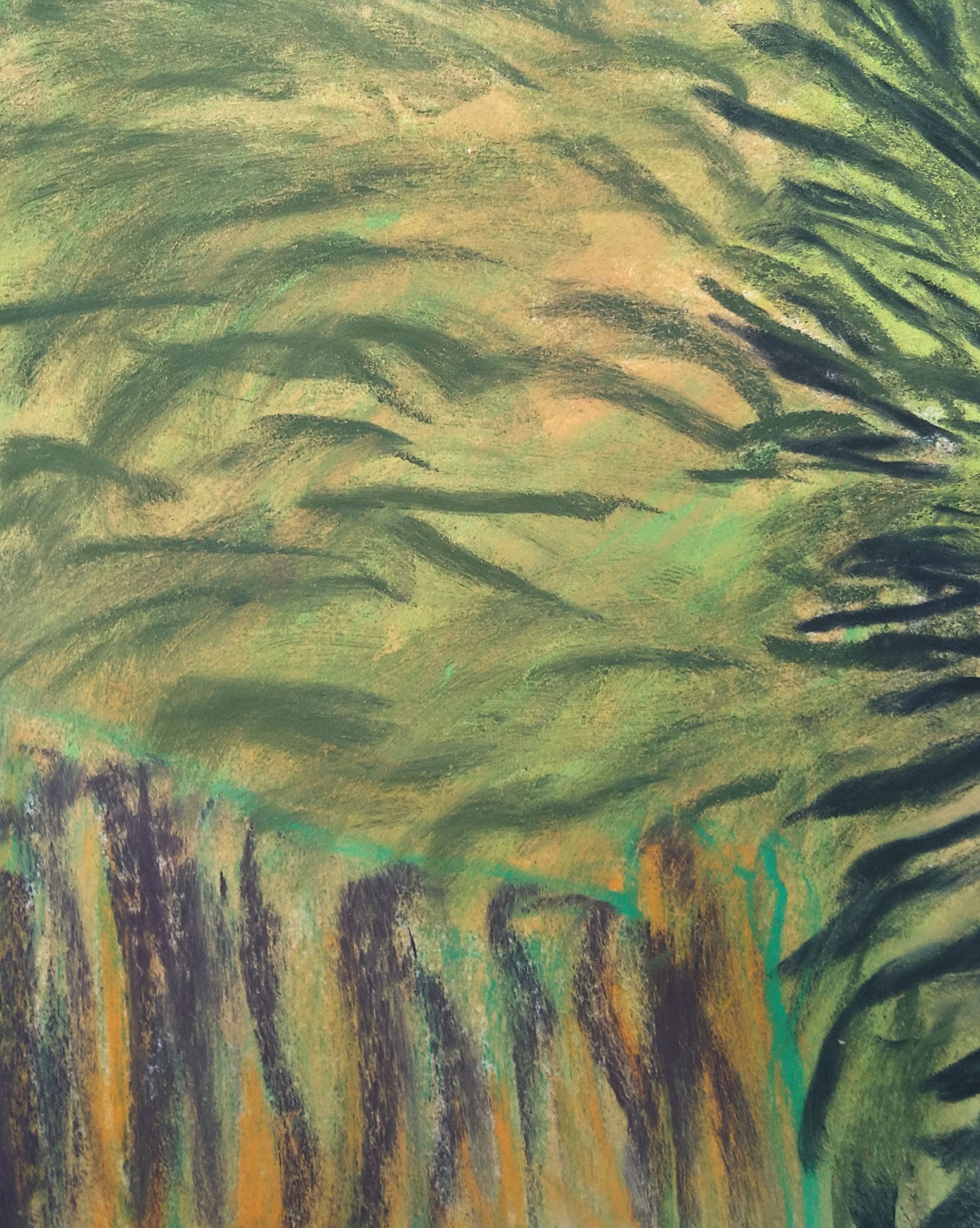 Paysage sous bois 2024 détail dessin crayon ciré A5 2024 Dieppe