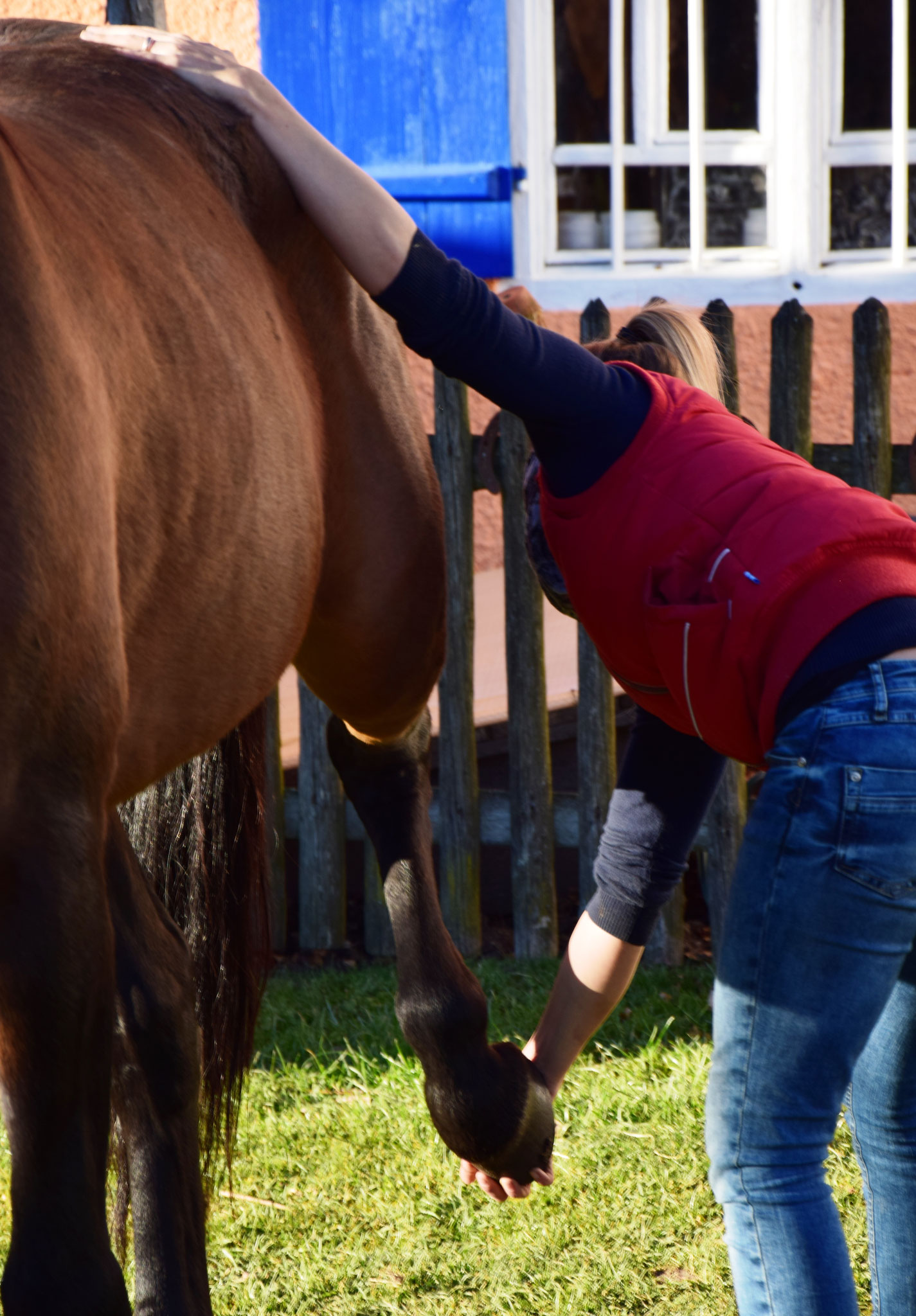 Strukturelle Osteopathie