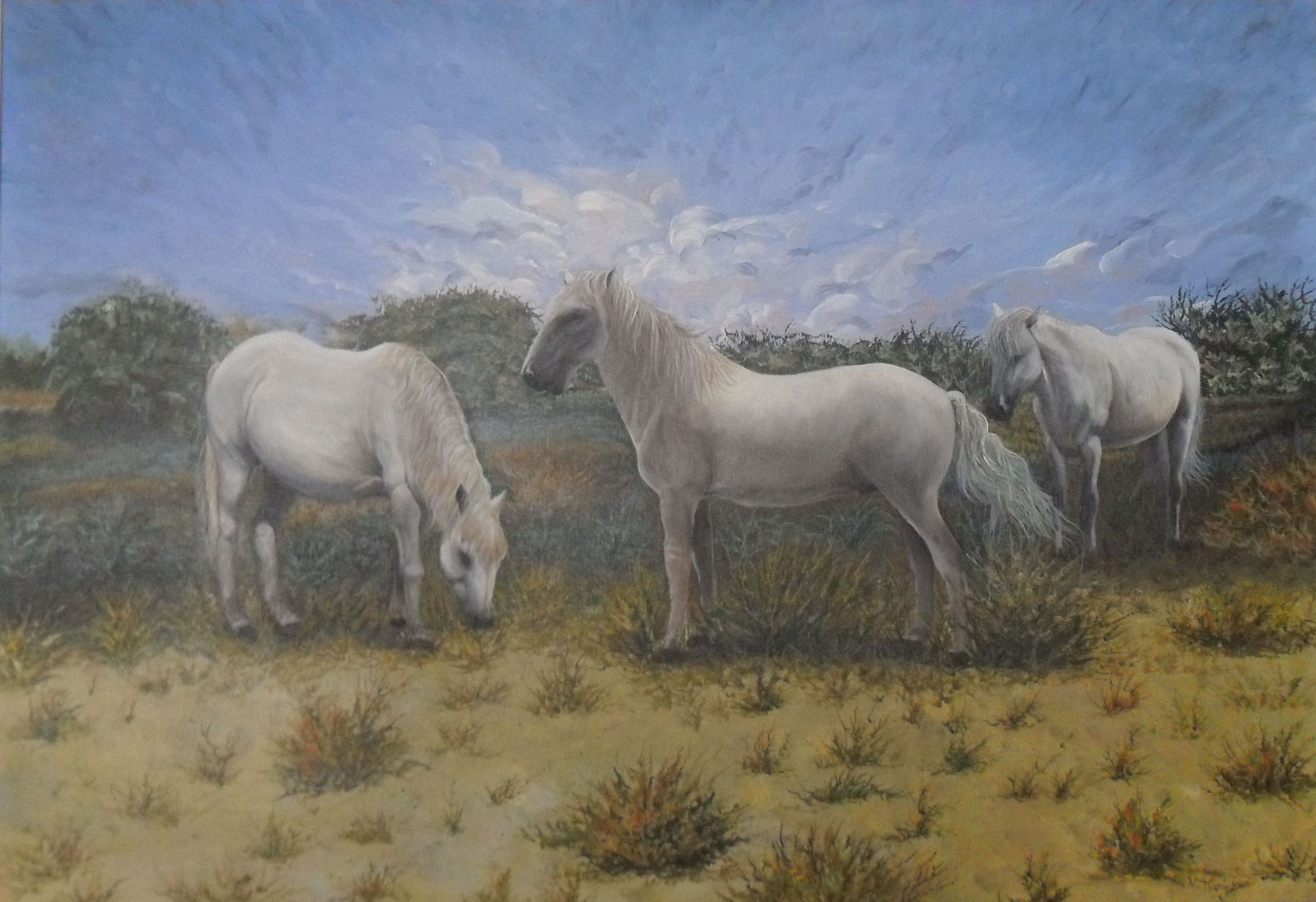 Cavalli Camargue - acrilico su tela - 70x100