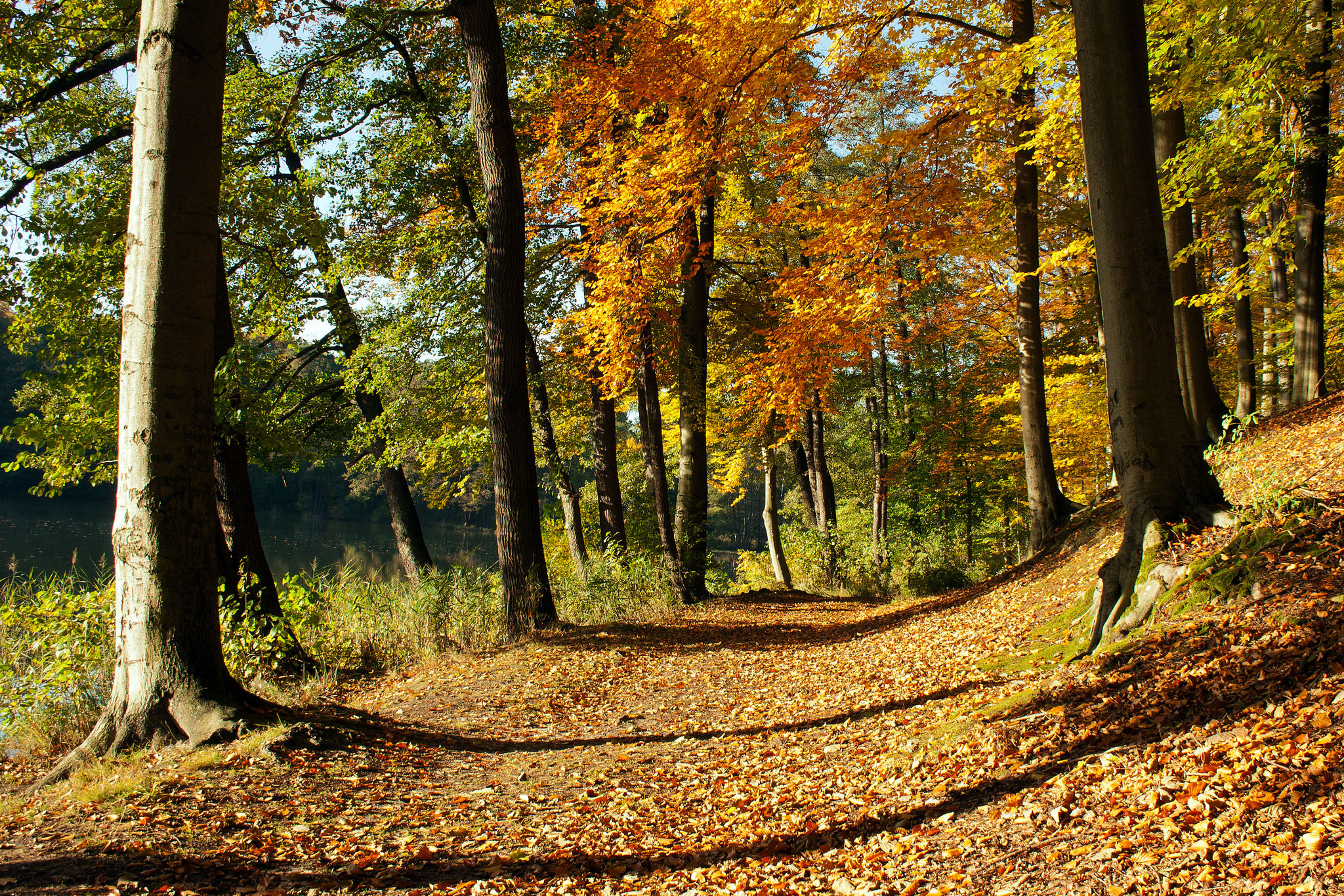 Herbstspaziergang am Kleinen Treppelsee
