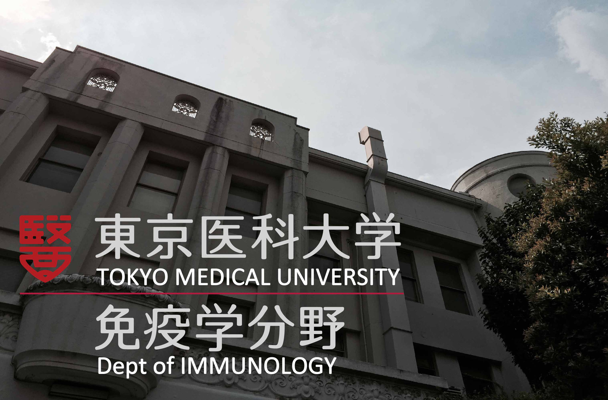 東京医科大学病院 (東京都新宿区 | 西新宿駅) 【病院なび】