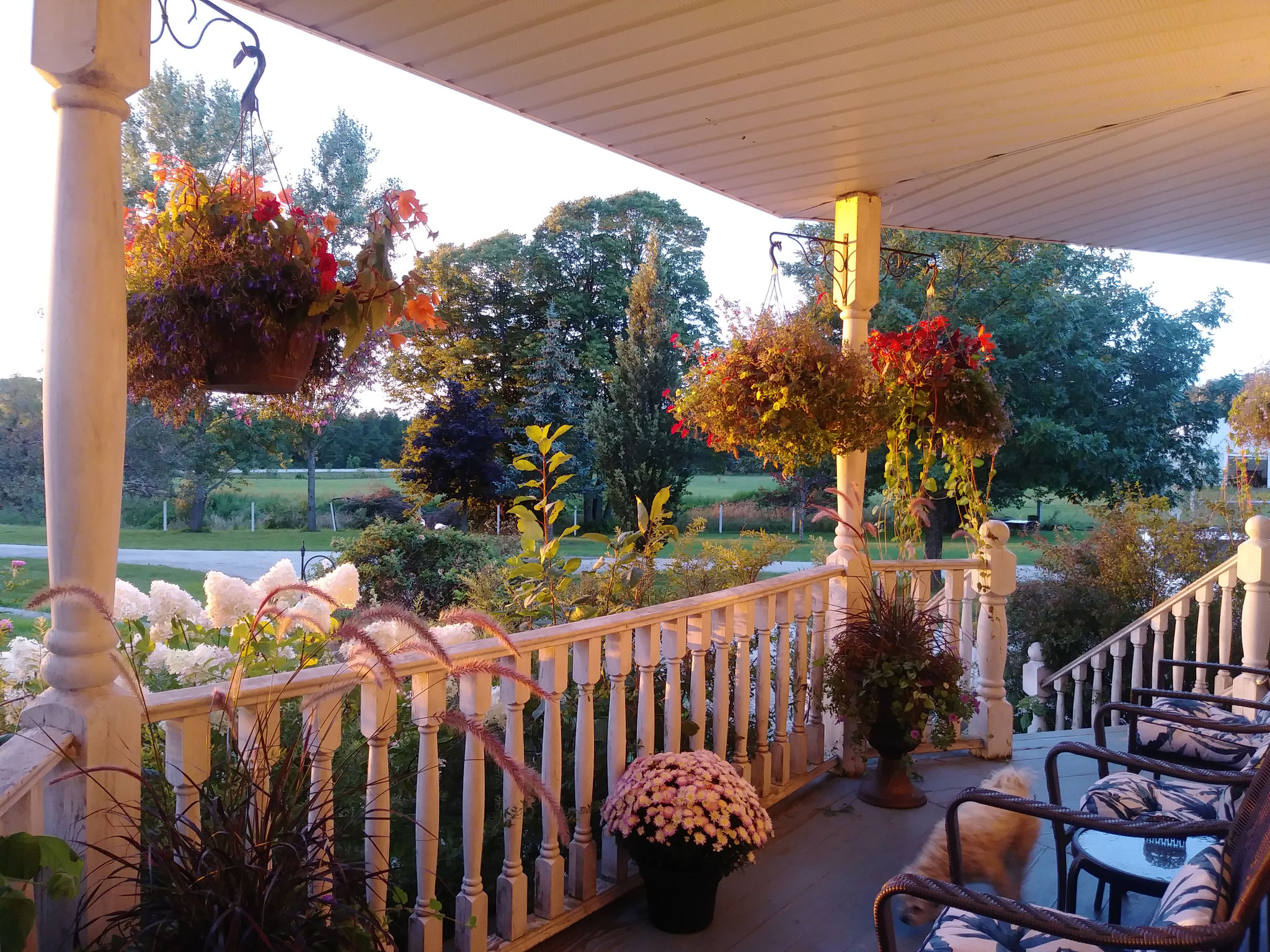 The B&B Twin Peaks Bed and Breakfast