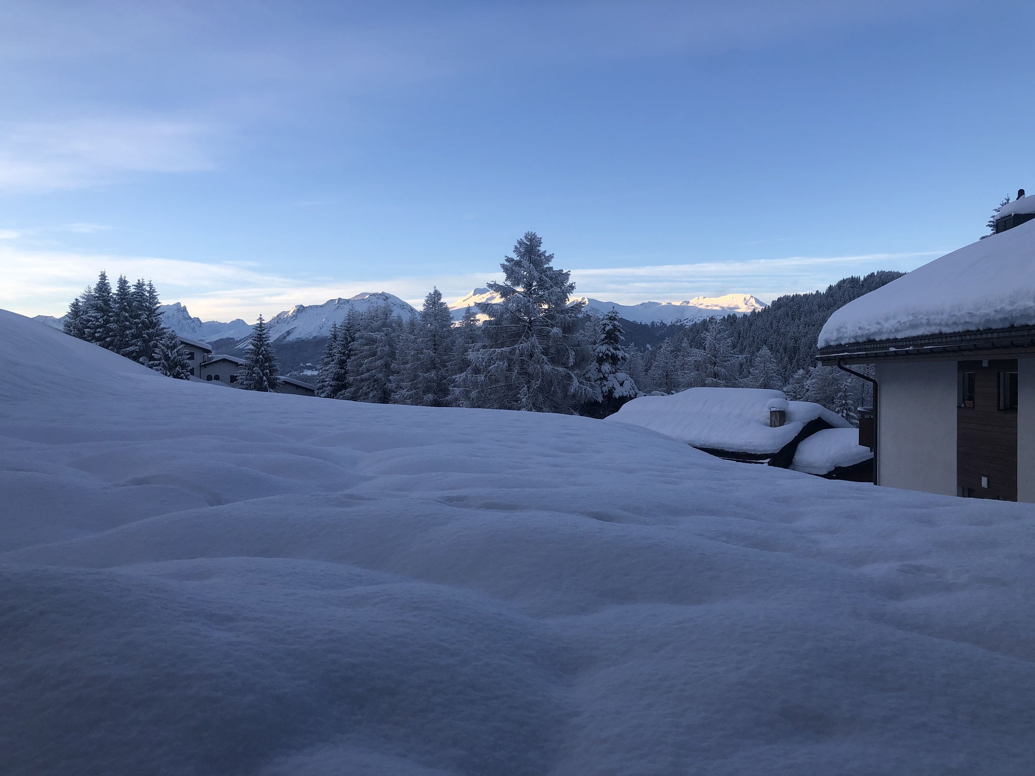 früh morgens