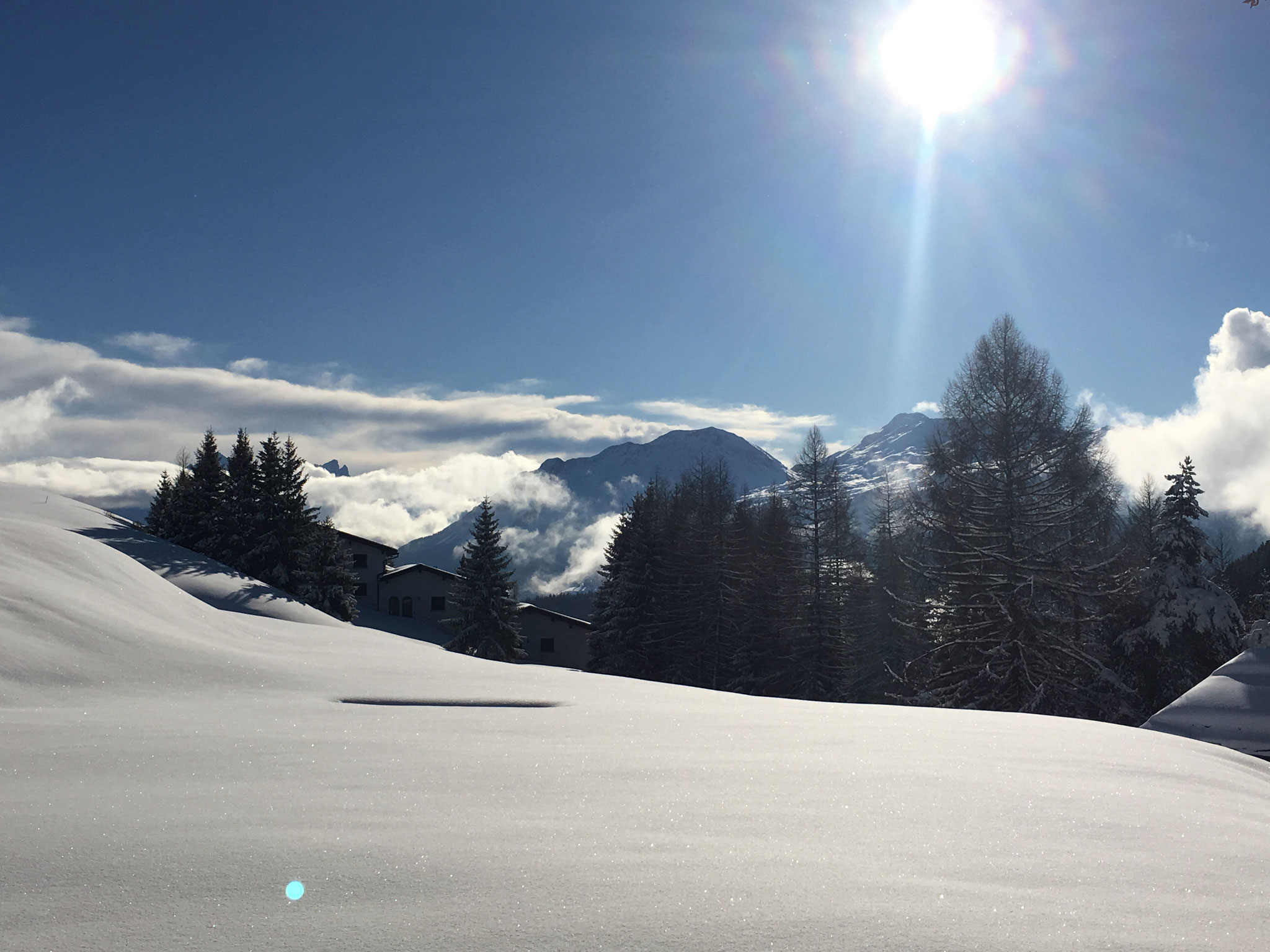 am nachmittag