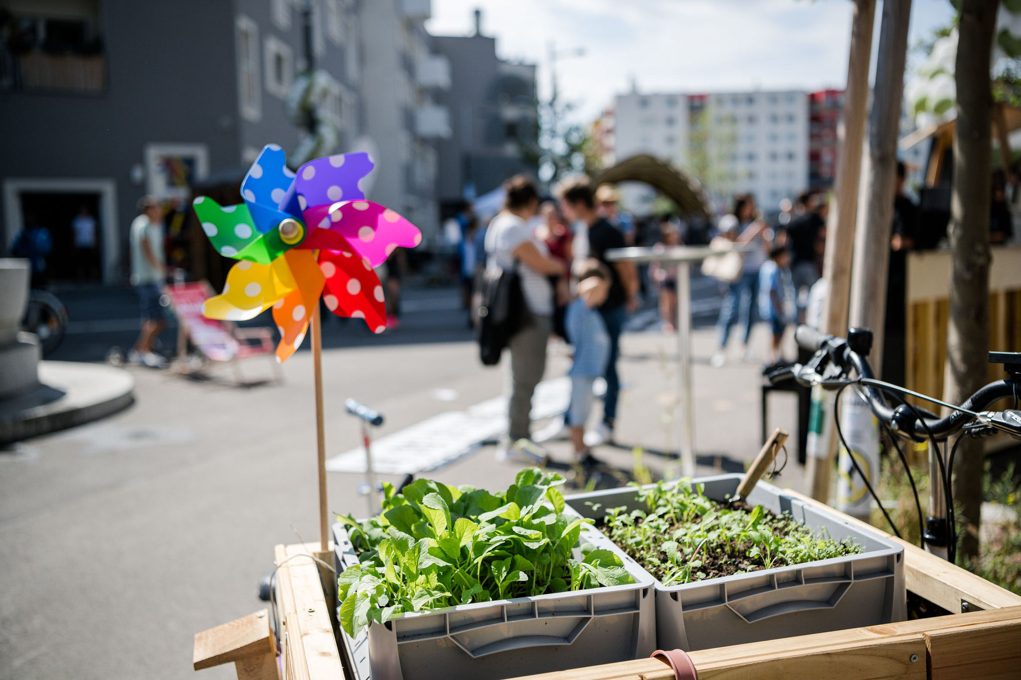 Sichere Dir Deinen Gemüsegarten für 2023 Ackerhelden Österreich