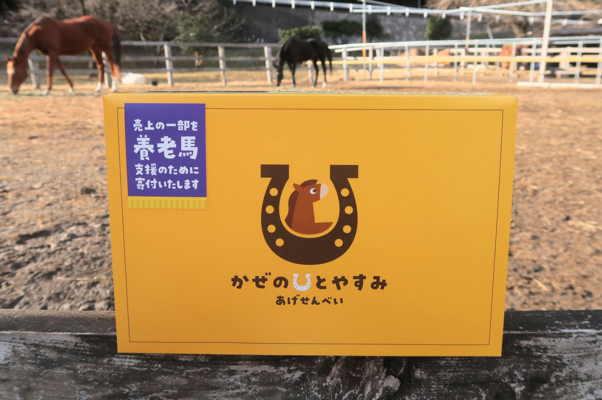 アマーレ　明日香