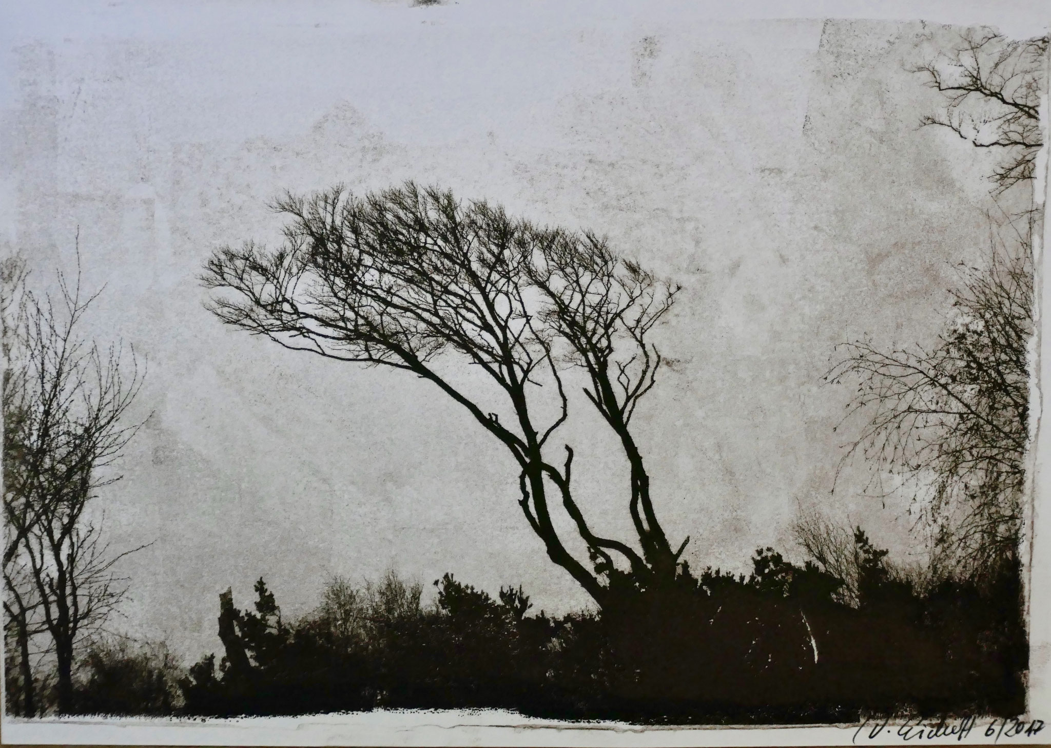Windflüchter, Transferlithografie, 20x 30cm 