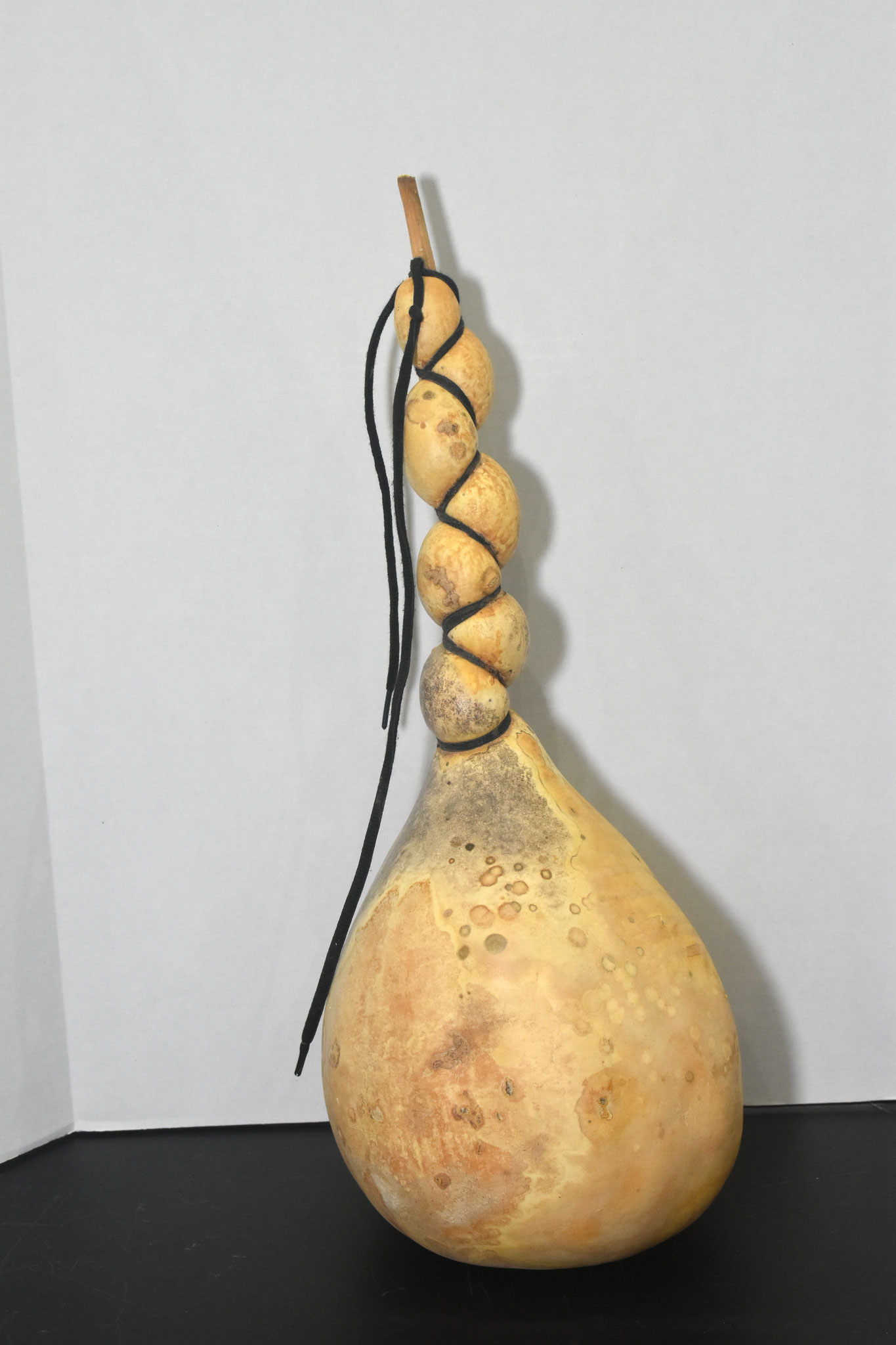 Manipulated Gourd - Kristin Johnson - First Place