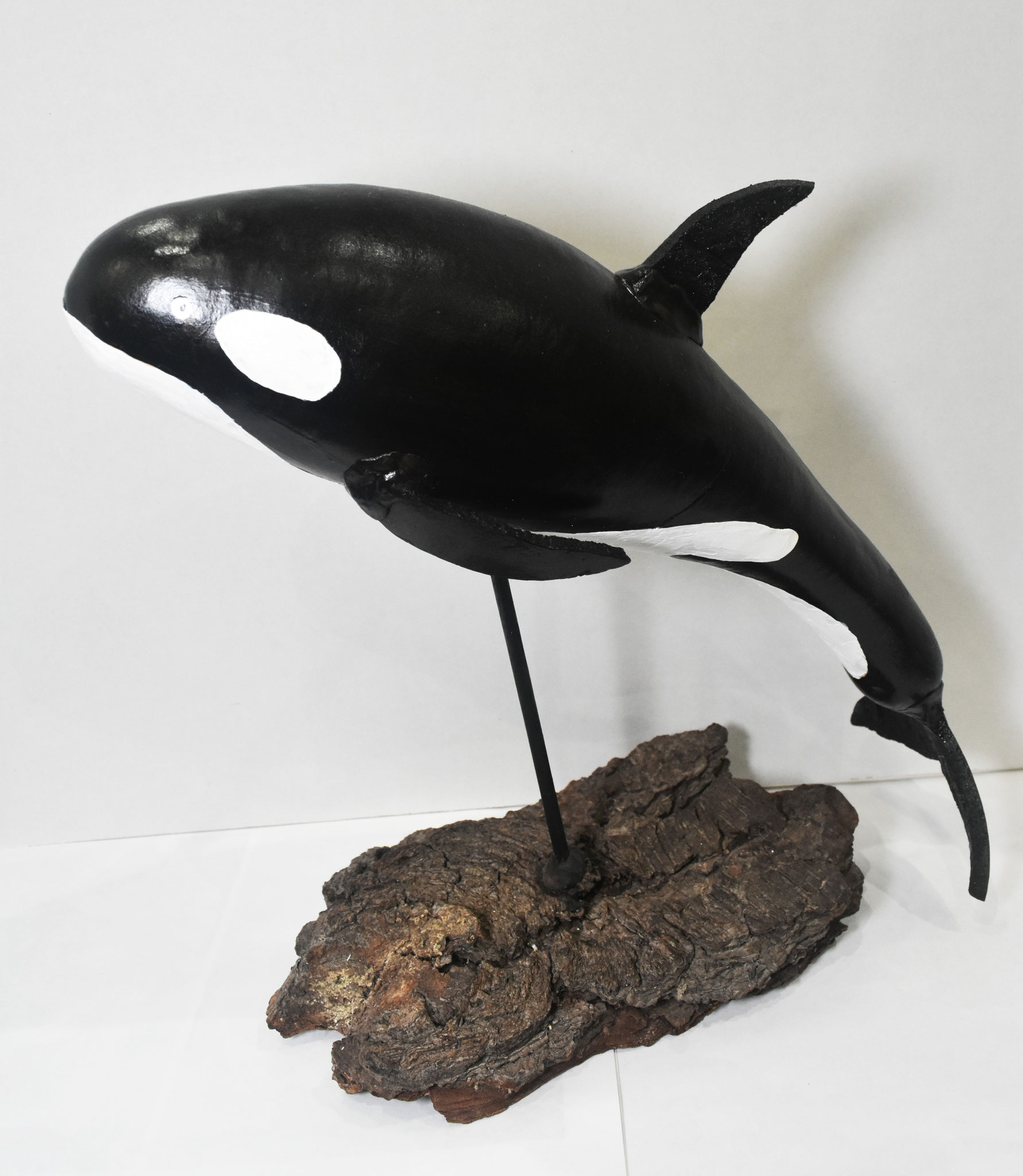 N-9 Creatures of Land, Sea, Air - Marian McNabb - First Place