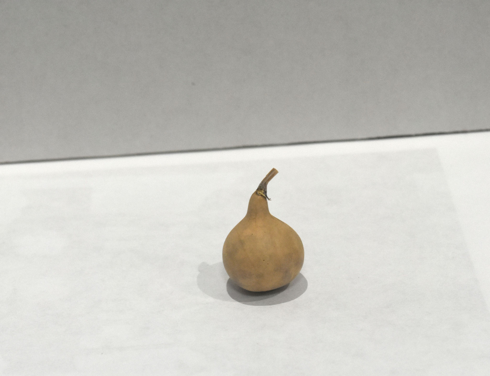 Smallest Gourd - Kristin Johnson - First Place