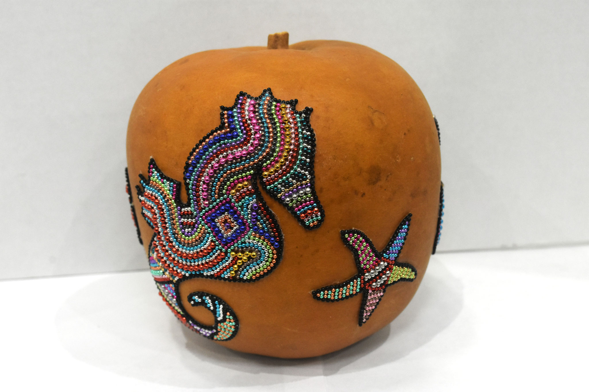 N-9 Creatures of Land, Sea, Air - Shelly Garber - Second Place