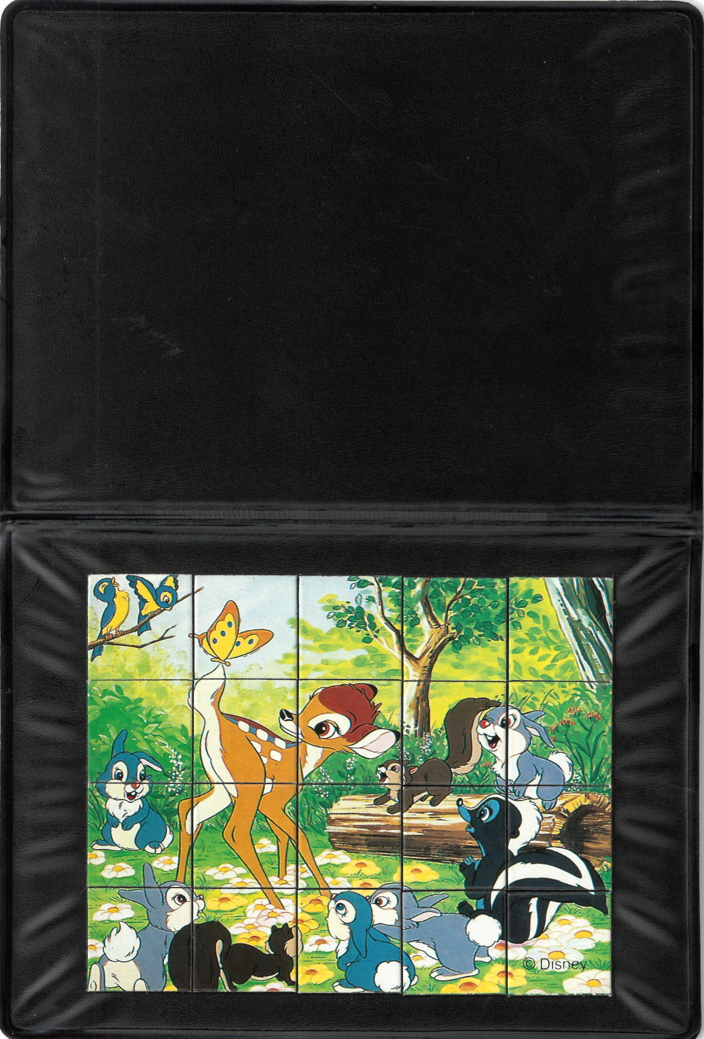 Magnetic puzzle
