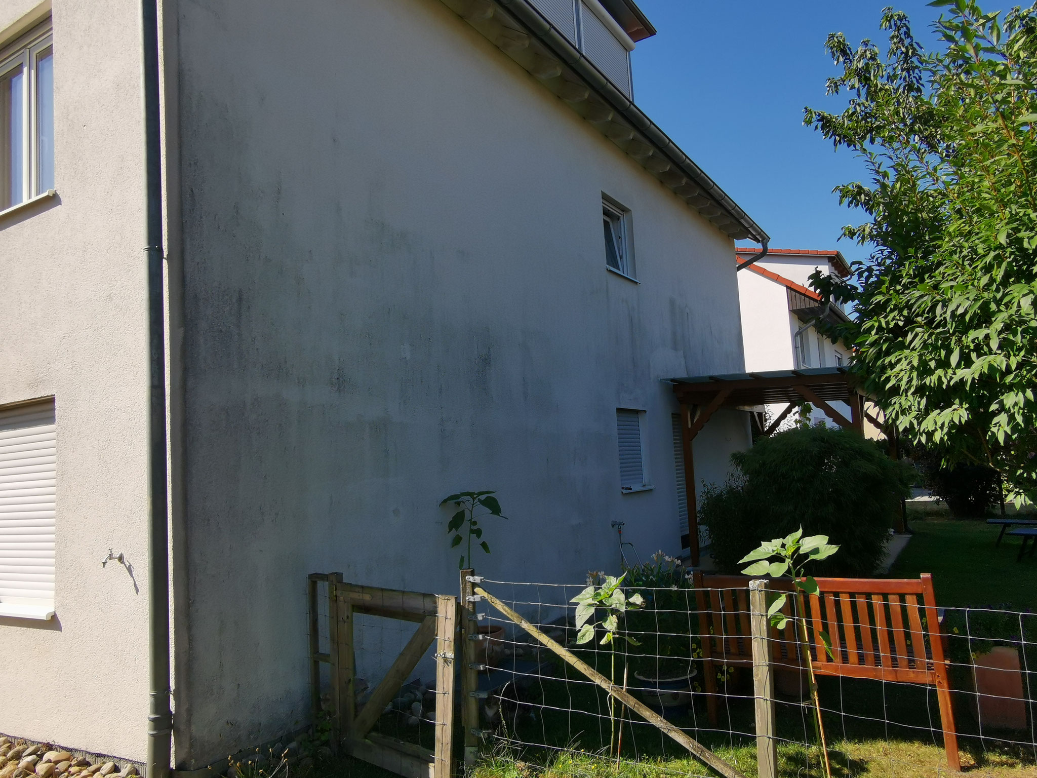 Fassade zeigt alten verwitterten zustand und mit Schimmelbefallener Oberfläche.