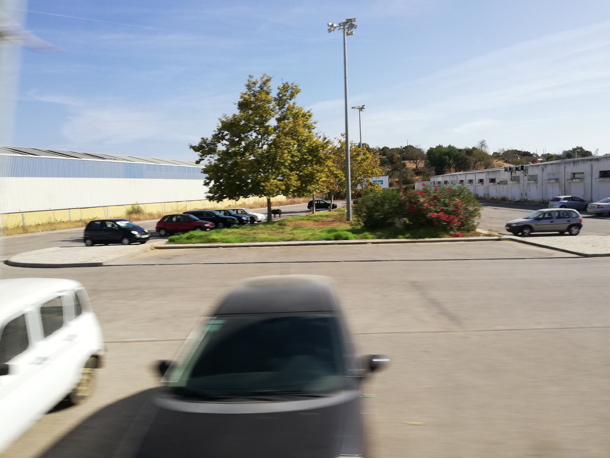 In Portimao werden wohl nicht nur Autos geparkt