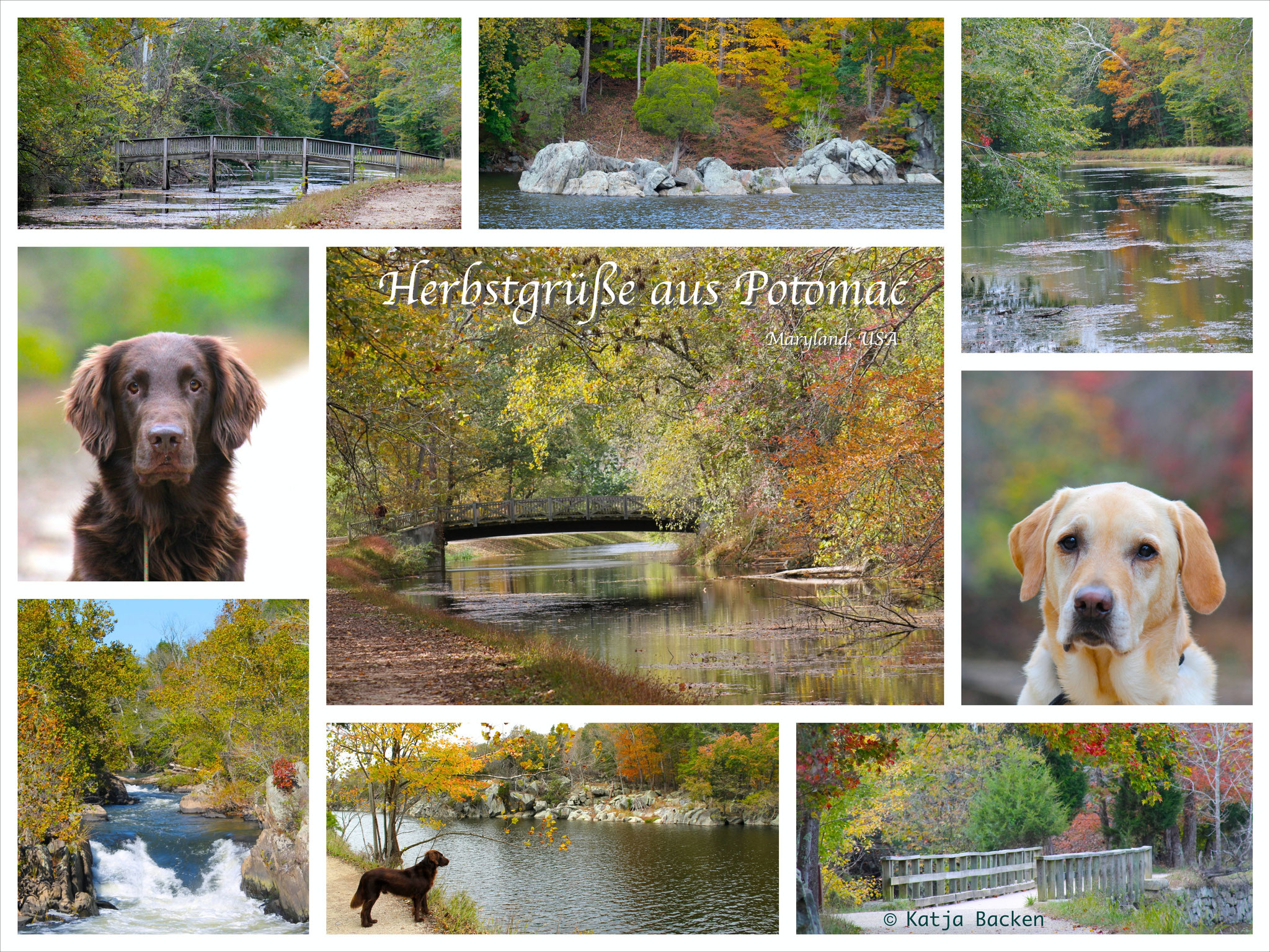 Potomac, Maryland, USA © Katja Backen