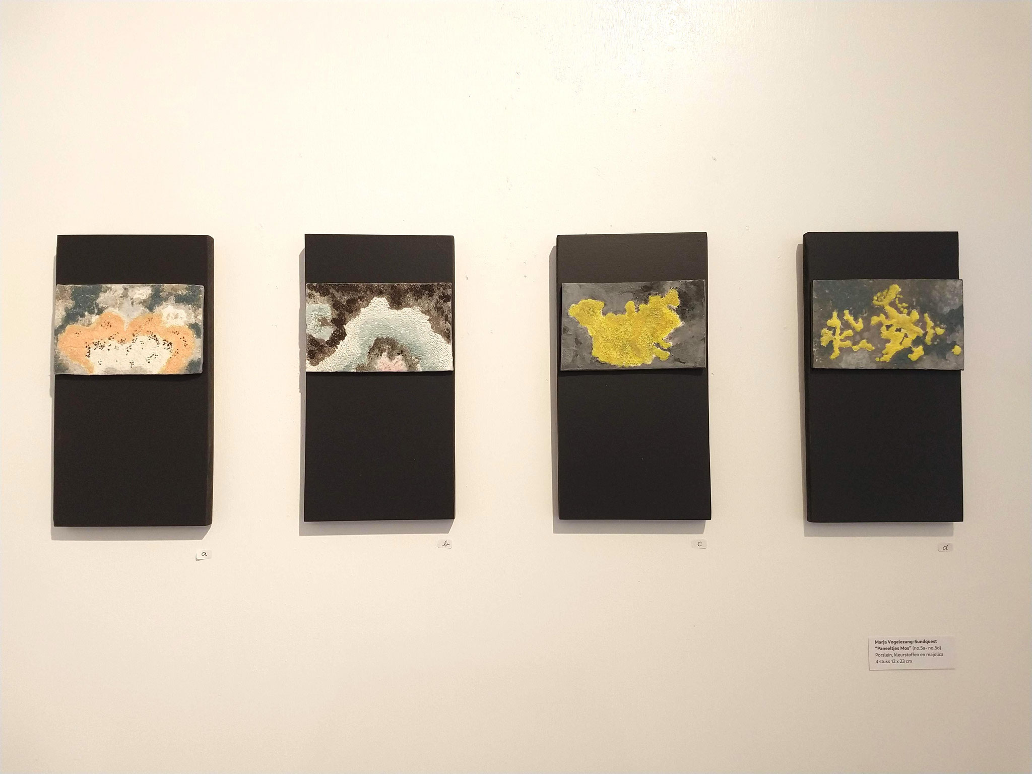 Plaatjes Mos - a tot d, in Solo-expositie "Herinnering" 2023 van Marja Vogelezang-Sundquest