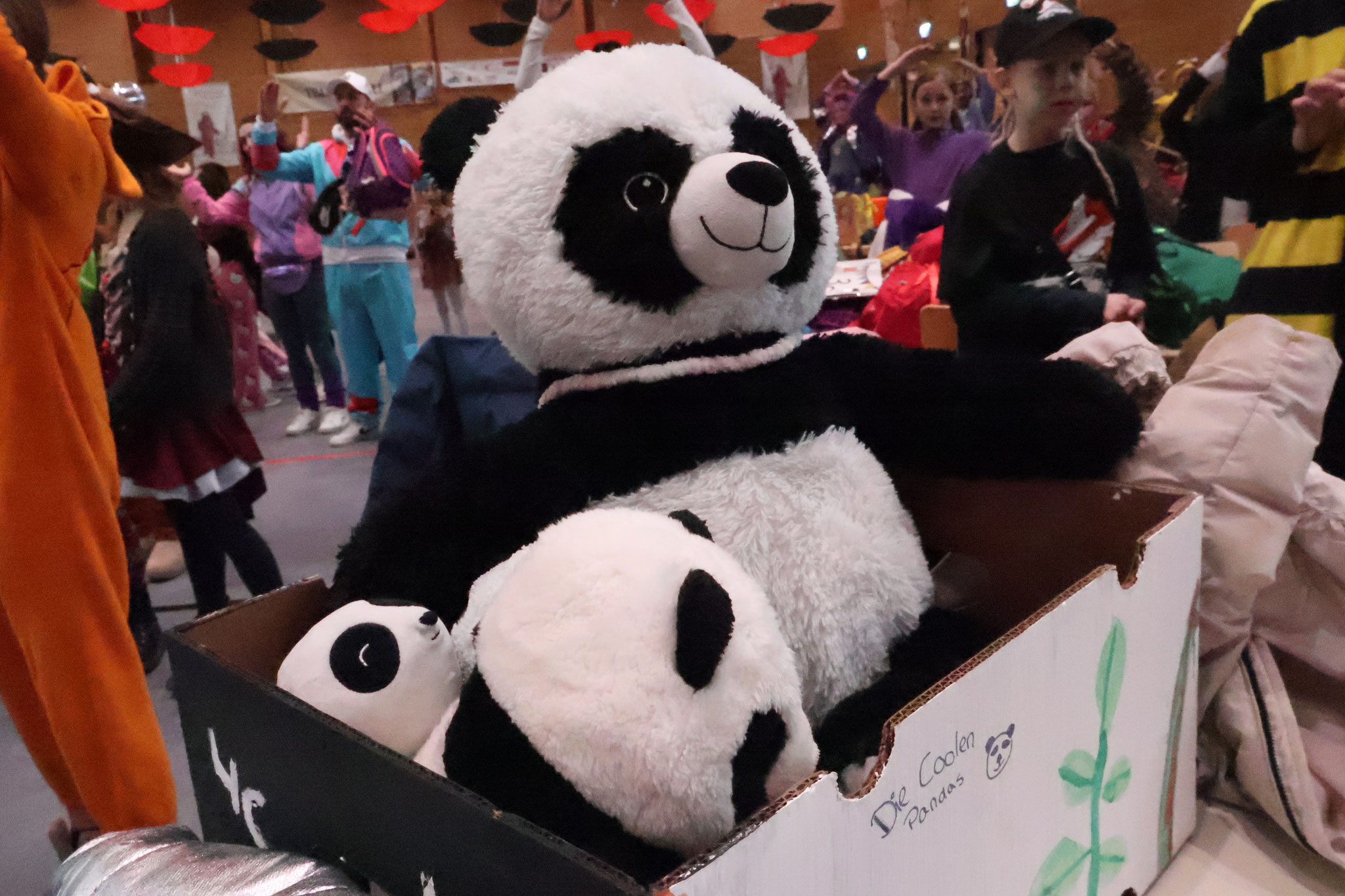 Die Pandas in ihrer Sänfte