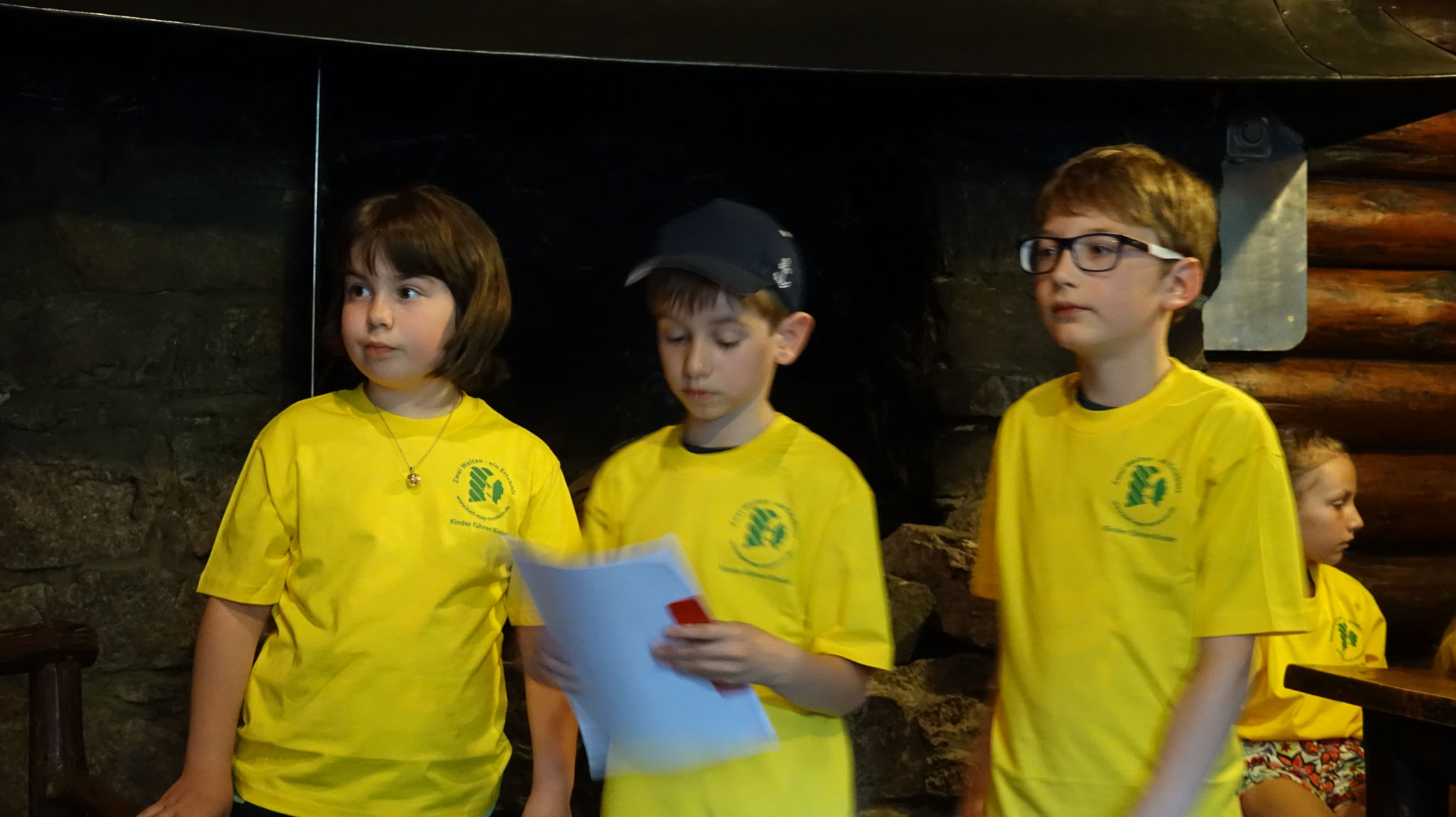 Die 3 Expert*innen für den Kaminraum