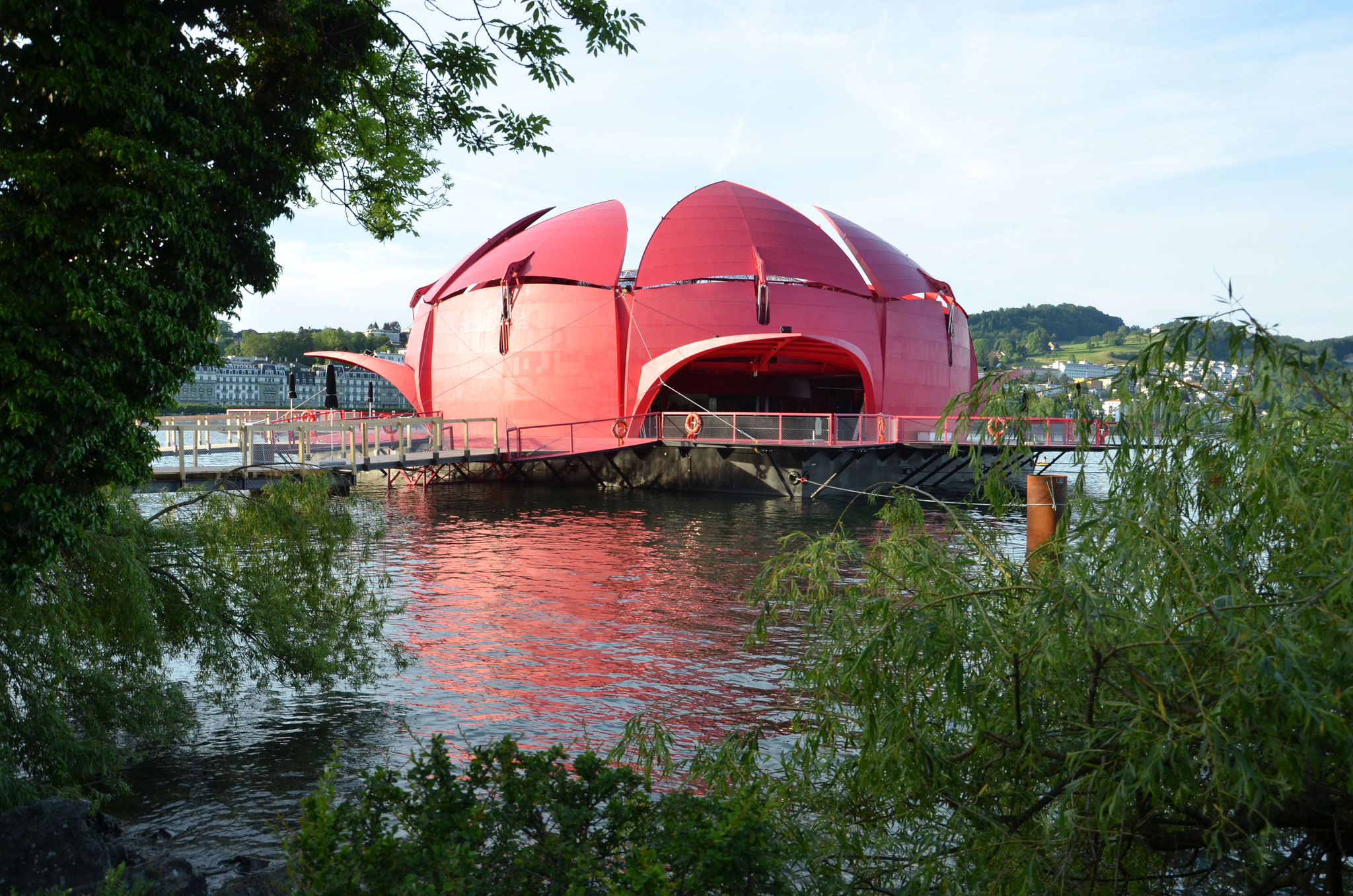 Die Seerose in Luzern beim Inseli/KKL.