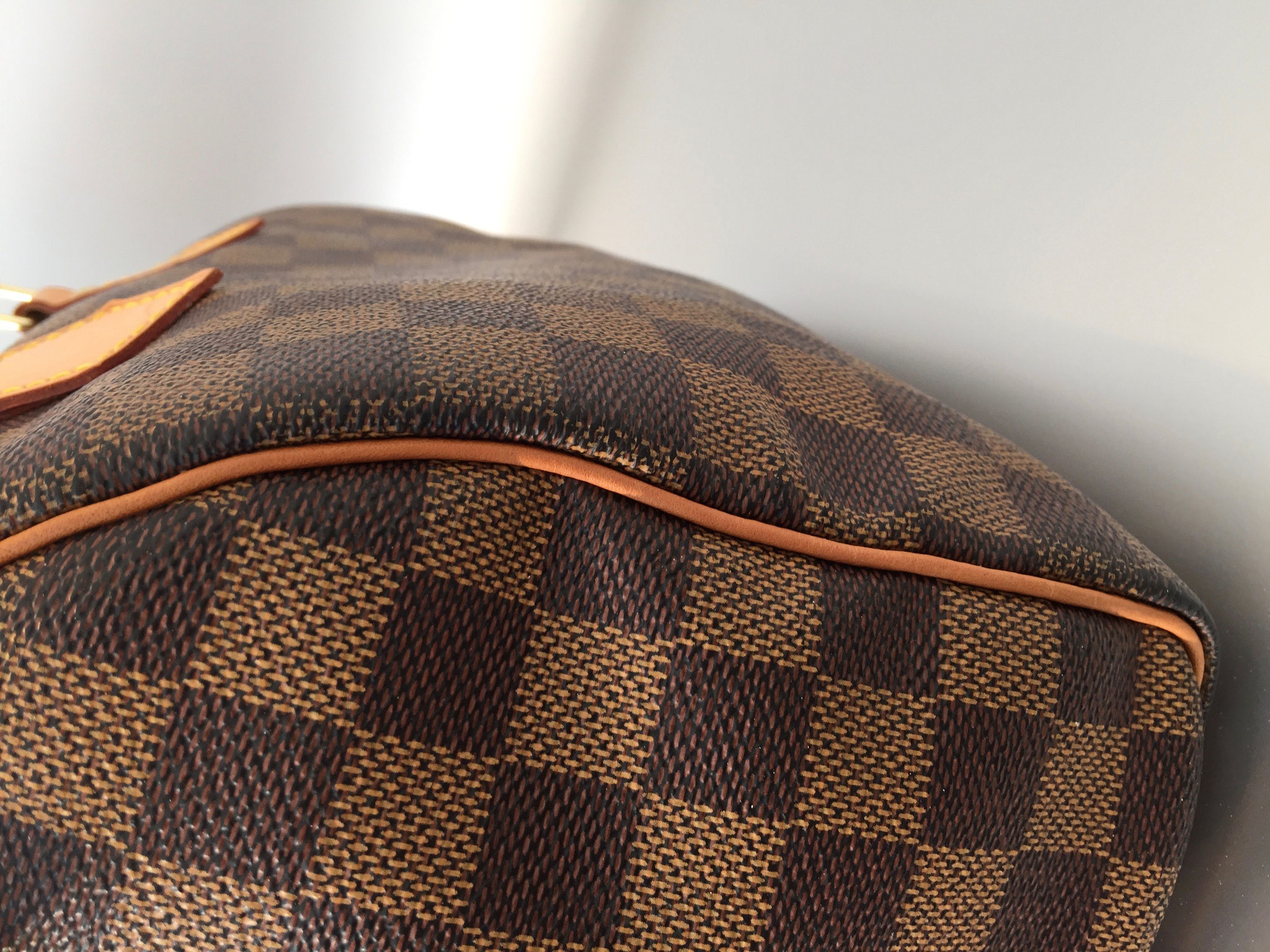 Alle Fakten zu deiner gebrauchten Louis Vuitton Speedy – Glück & Glanz CGN  GmbH