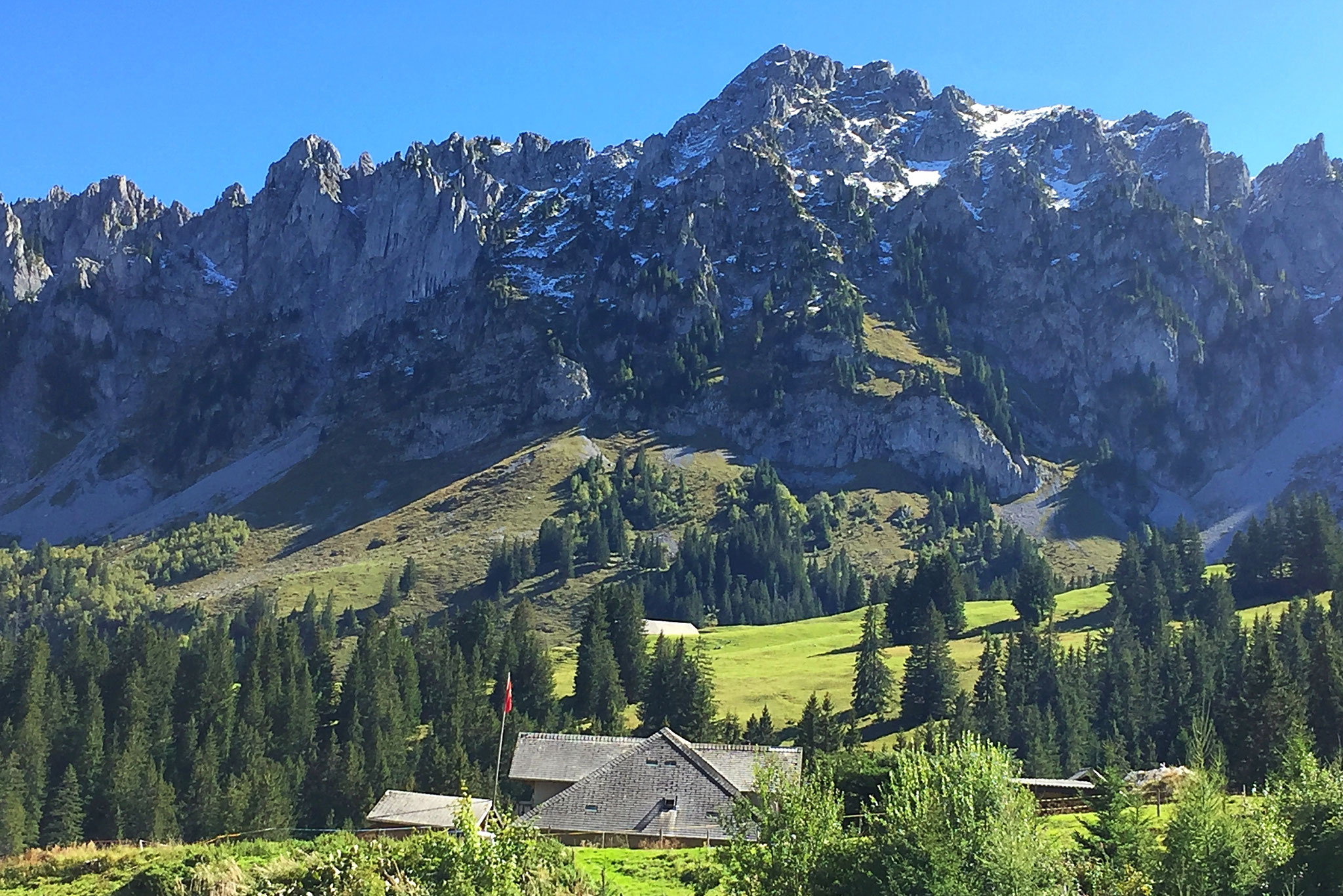 Frejima à Tena