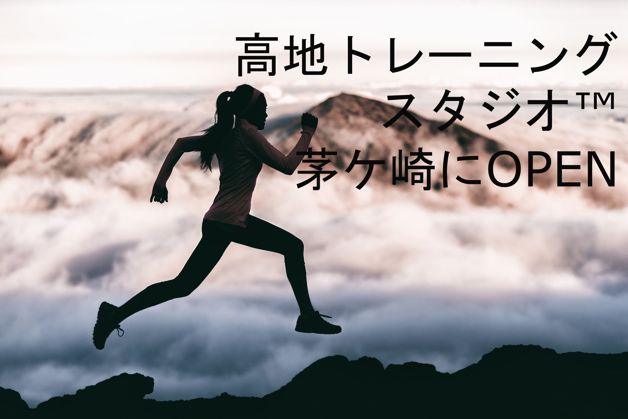 キャンペーン ハイアルチ茅ヶ崎スタジオーhighalti Chigasaki