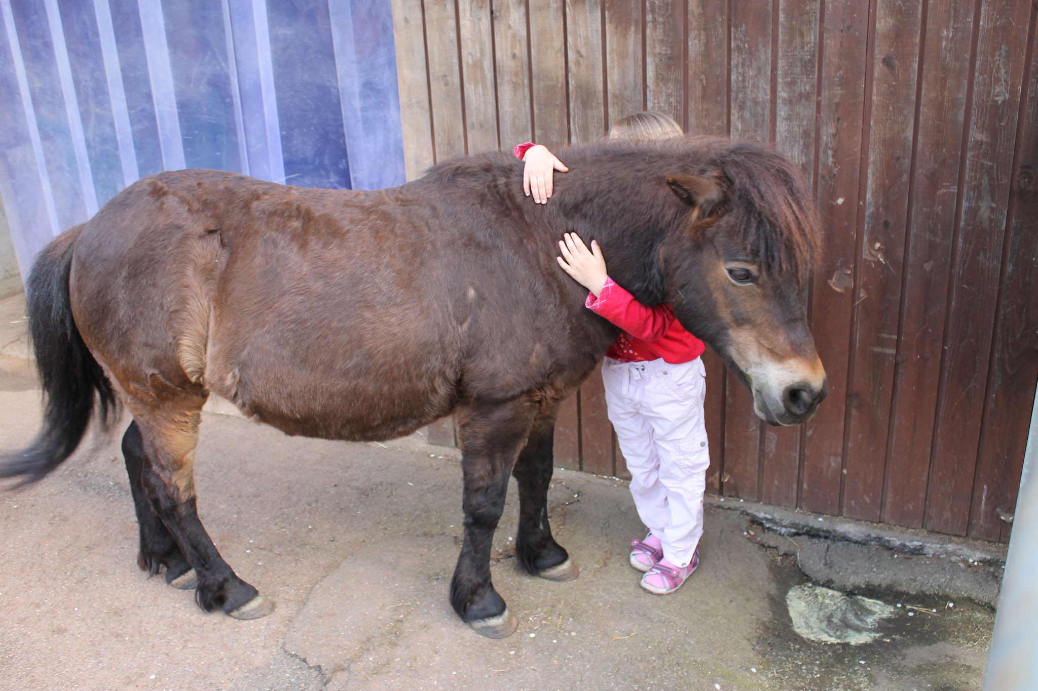 So sieht Liebe aus - Pony-Pony und ein Ferienkind