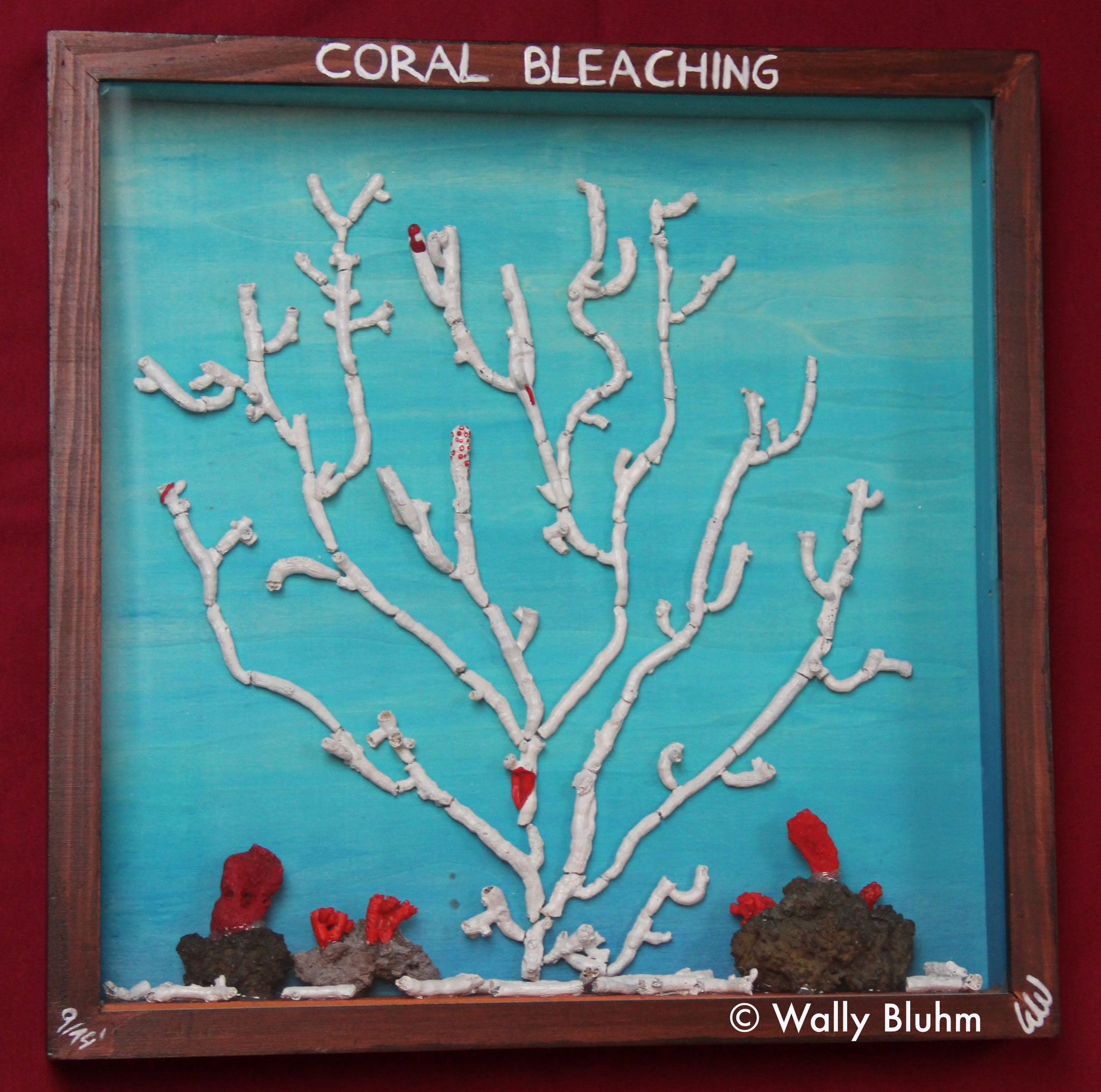 Coral Bleaching (2014) - Mixed Media